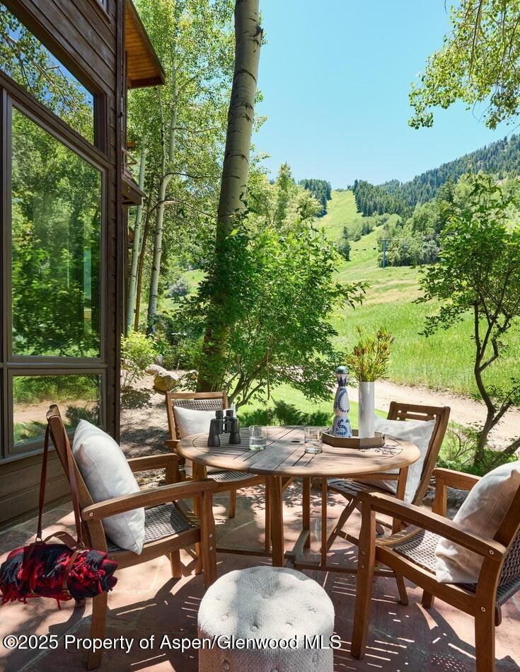 800 S Monarch Street Aspen CO 81611