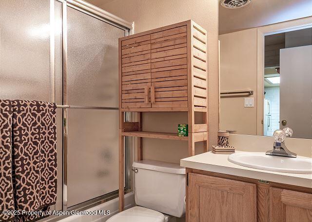 313 Vine Street Aspen CO 81611