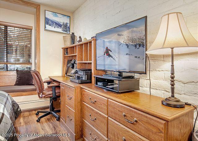 313 Vine Street Aspen CO 81611