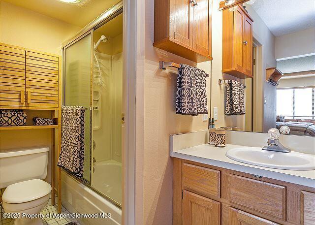 313 Vine Street Aspen CO 81611