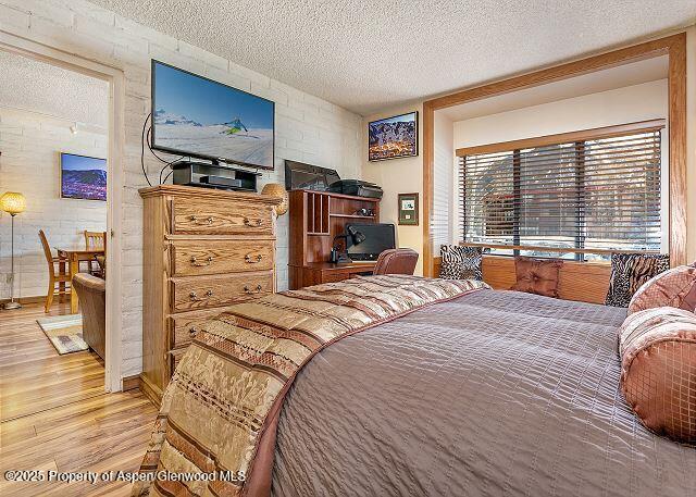 313 Vine Street Aspen CO 81611