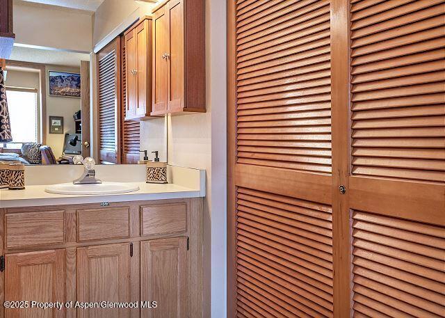 313 Vine Street Aspen CO 81611