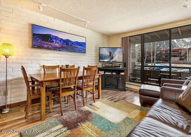 313 Vine Street Aspen CO 81611