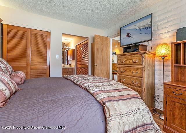 313 Vine Street Aspen CO 81611