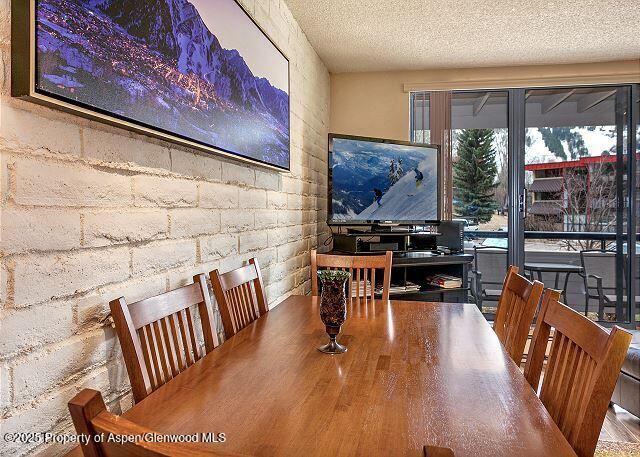 313 Vine Street Aspen CO 81611