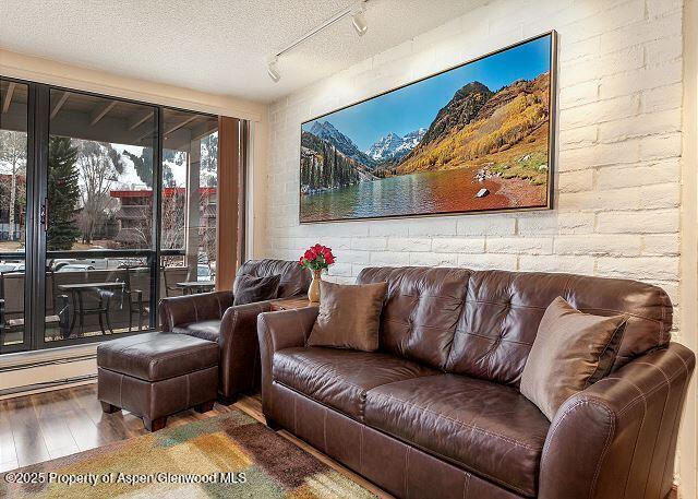 313 Vine Street Aspen CO 81611