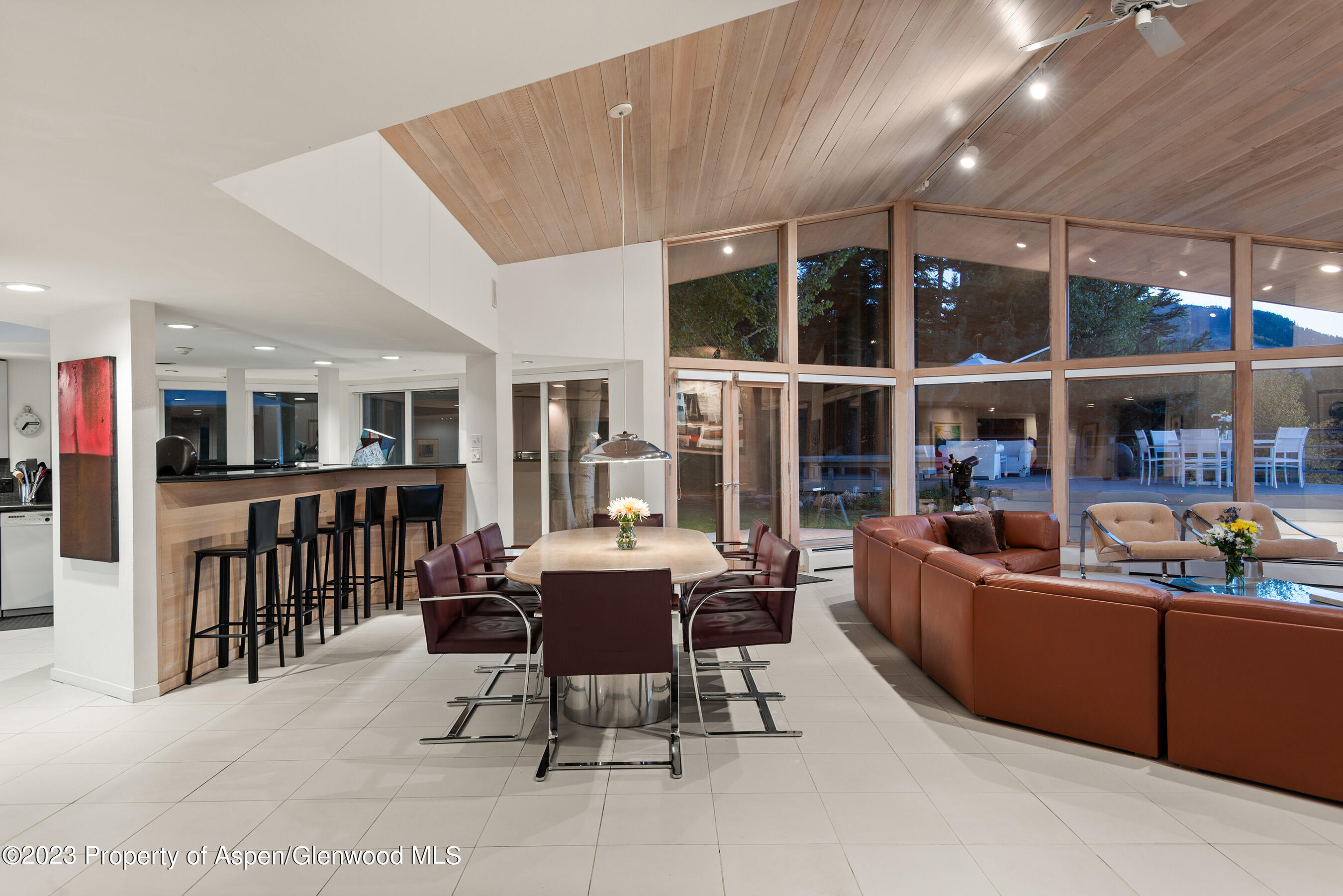 695 Meadows Road Aspen CO 81611