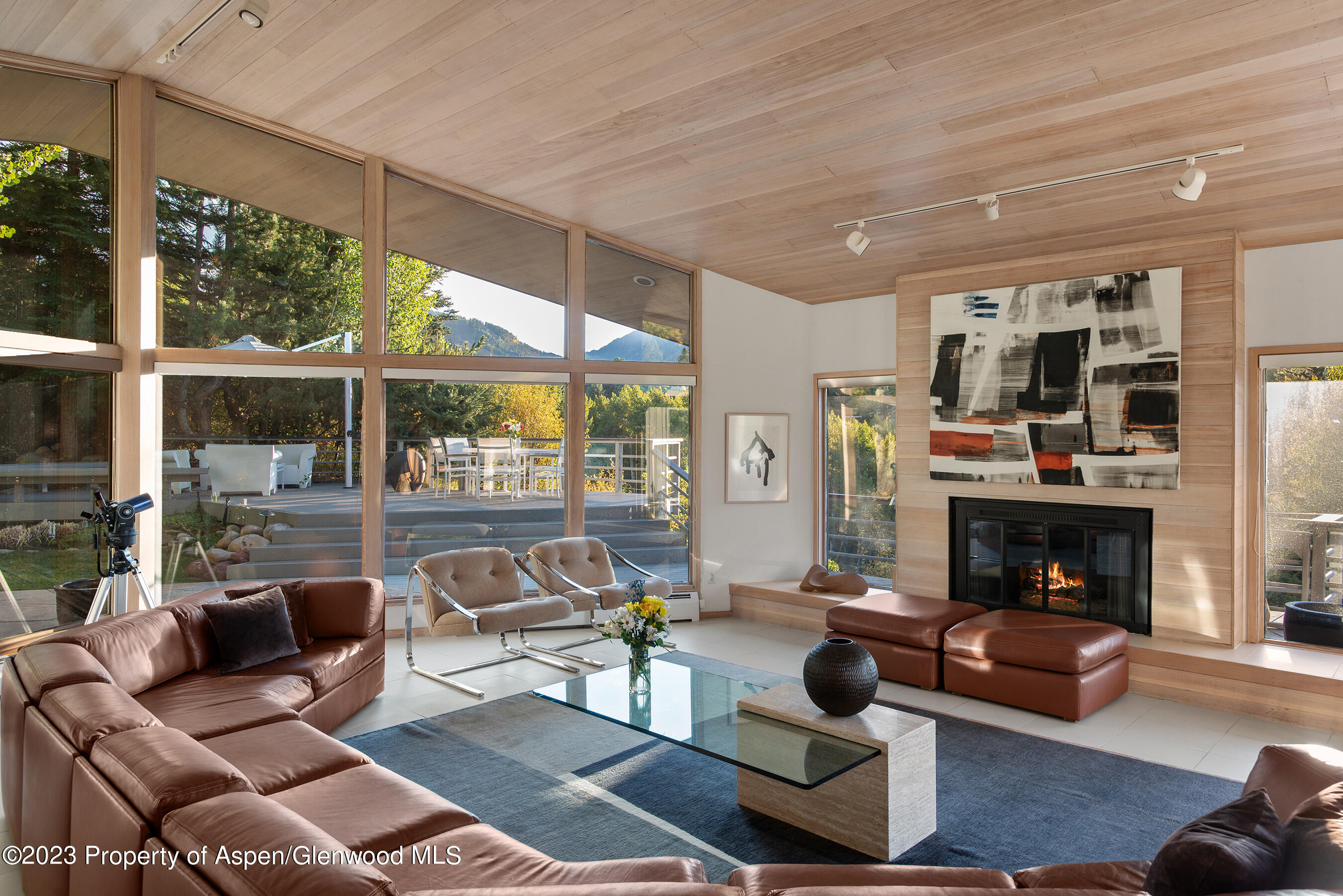 695 Meadows Road Aspen CO 81611