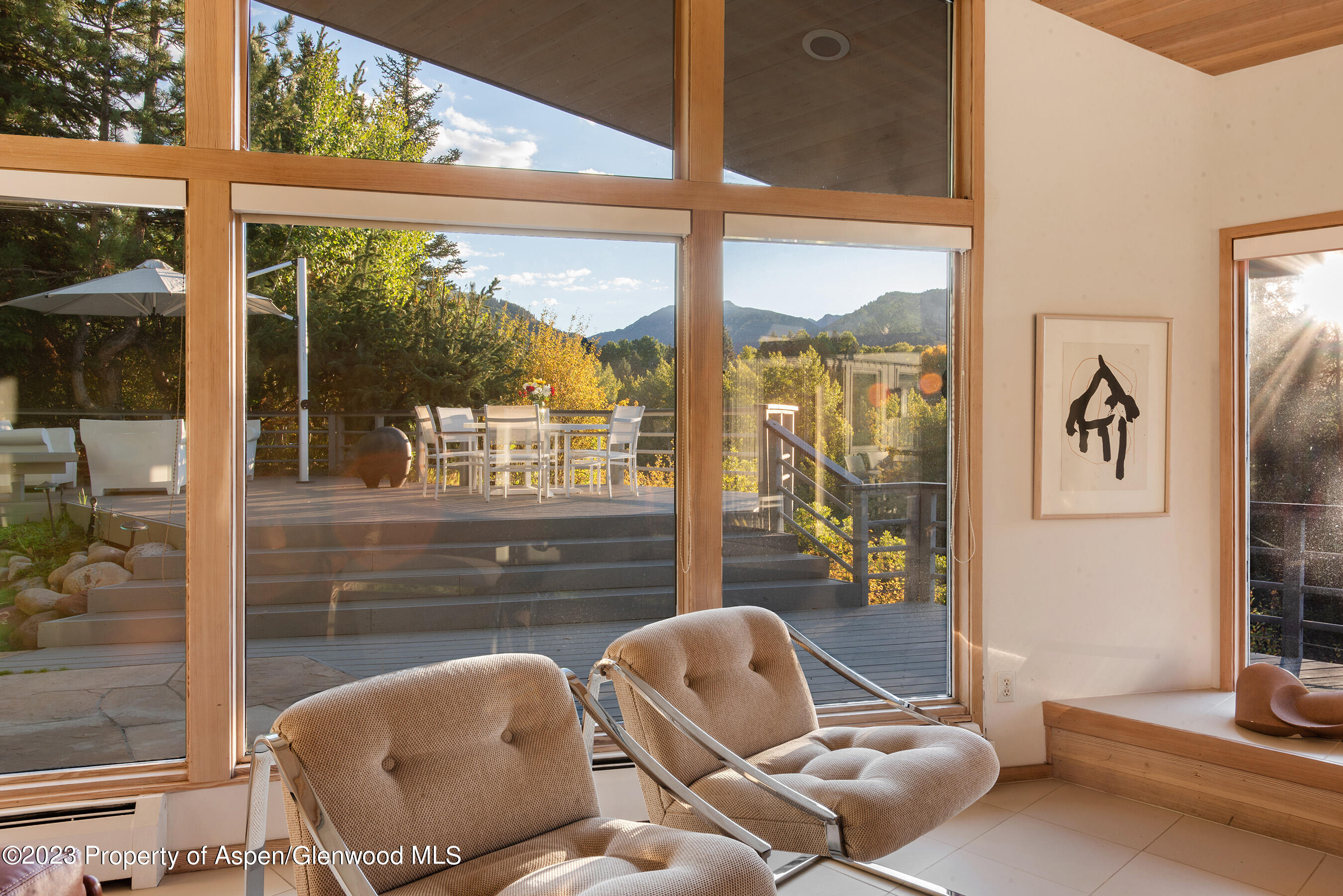 695 Meadows Road Aspen CO 81611