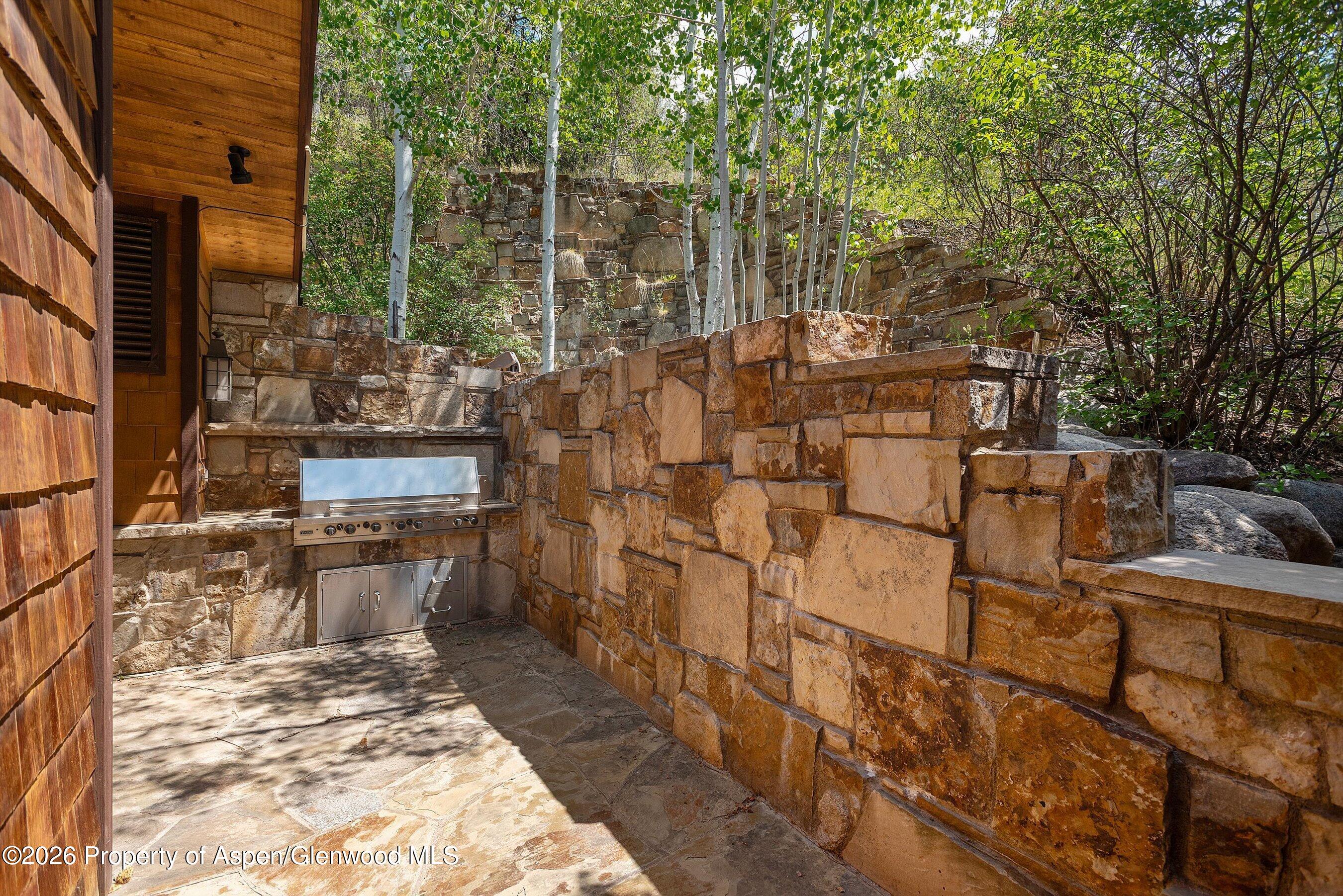 247 Willoughby Way Aspen CO 81611