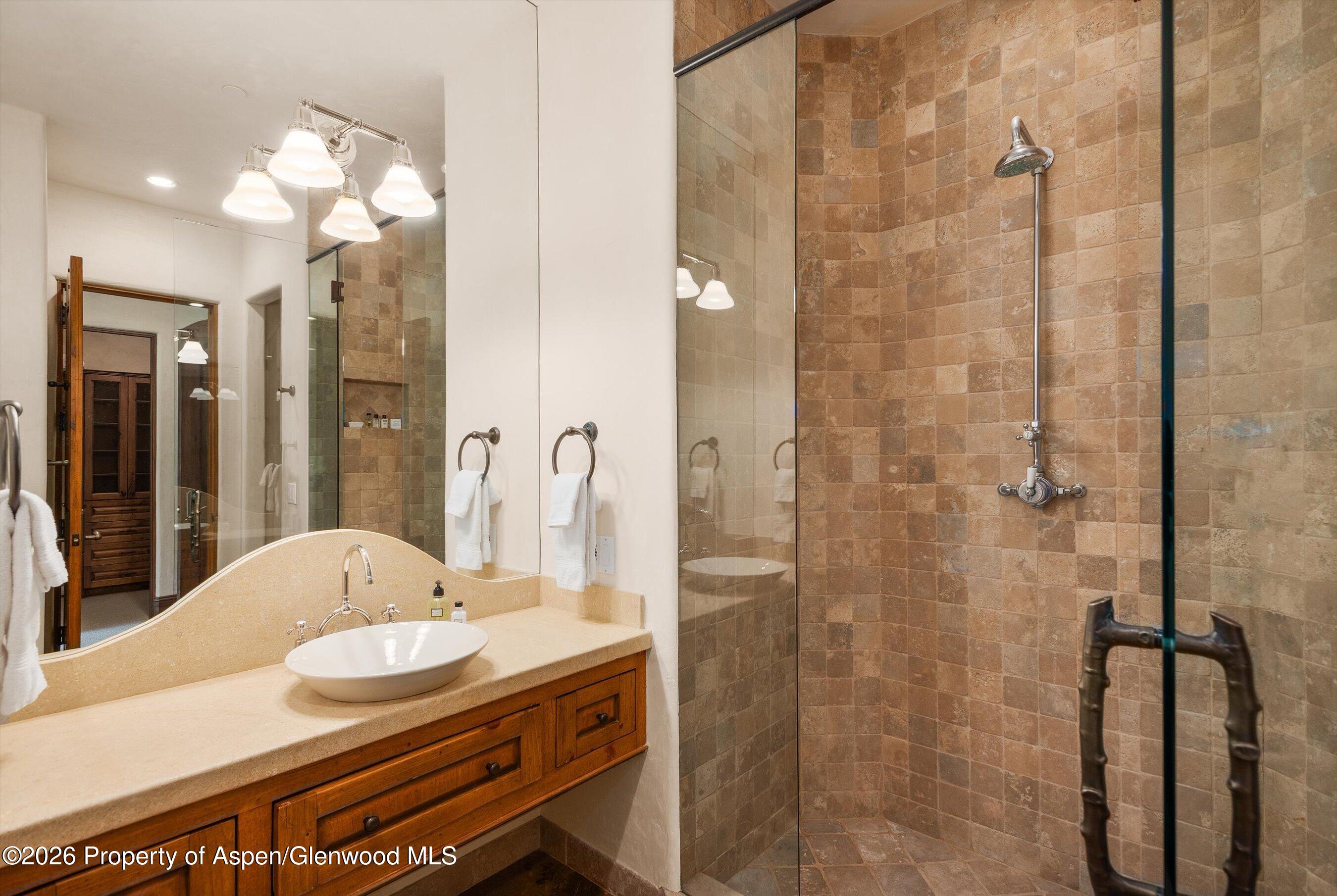 247 Willoughby Way Aspen CO 81611