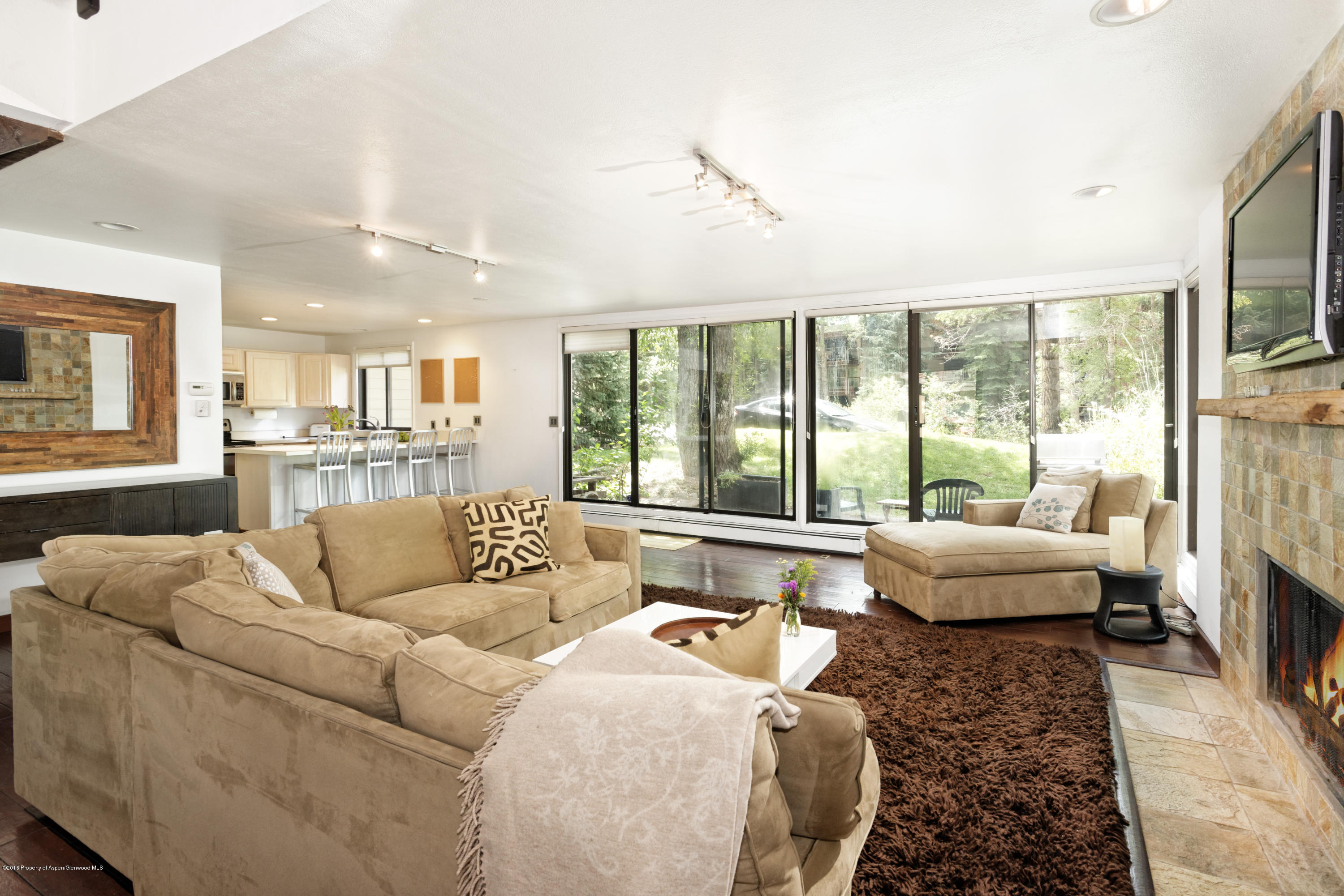 314 N Riverside Avenue Aspen CO 81611
