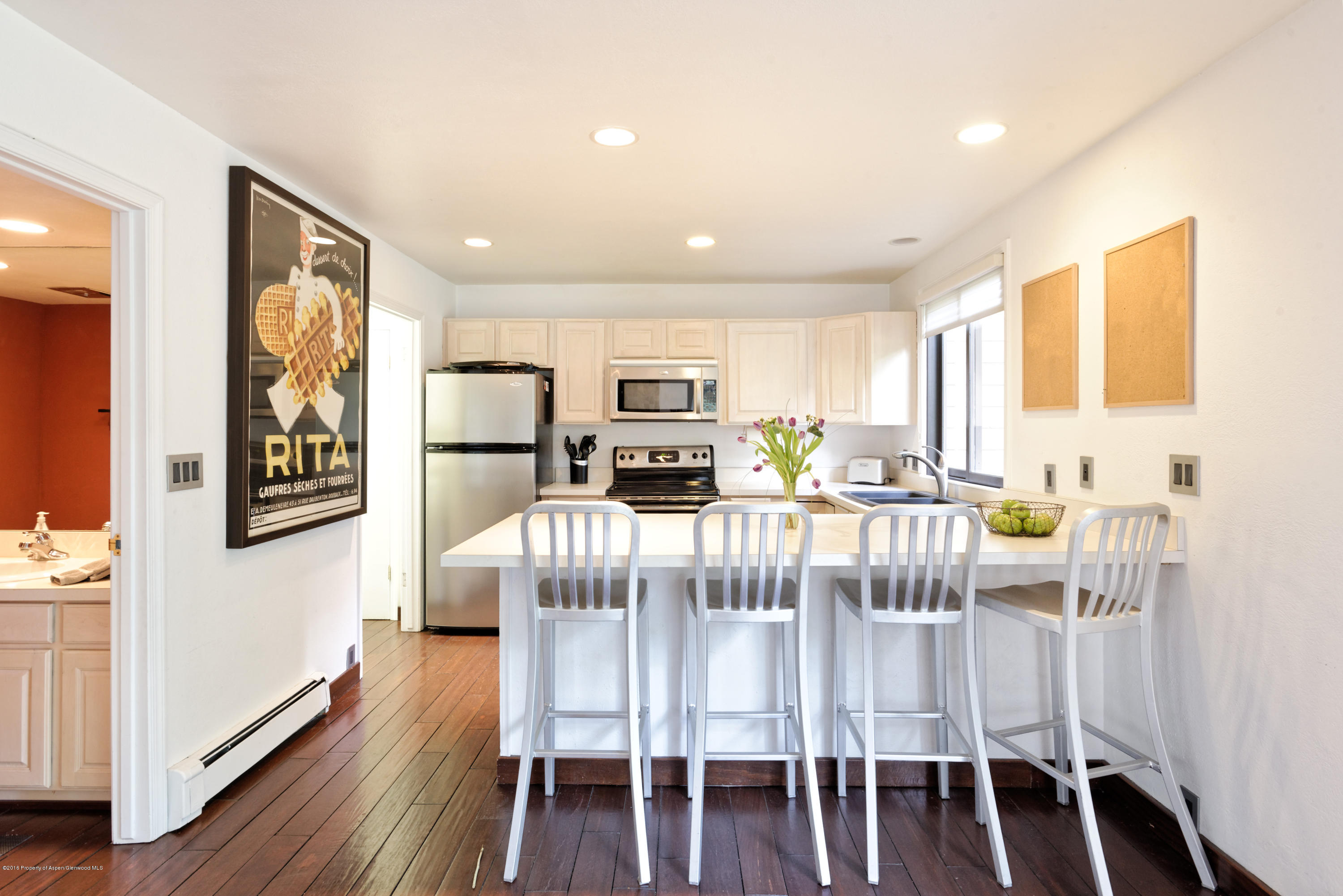 314 N Riverside Avenue Aspen CO 81611