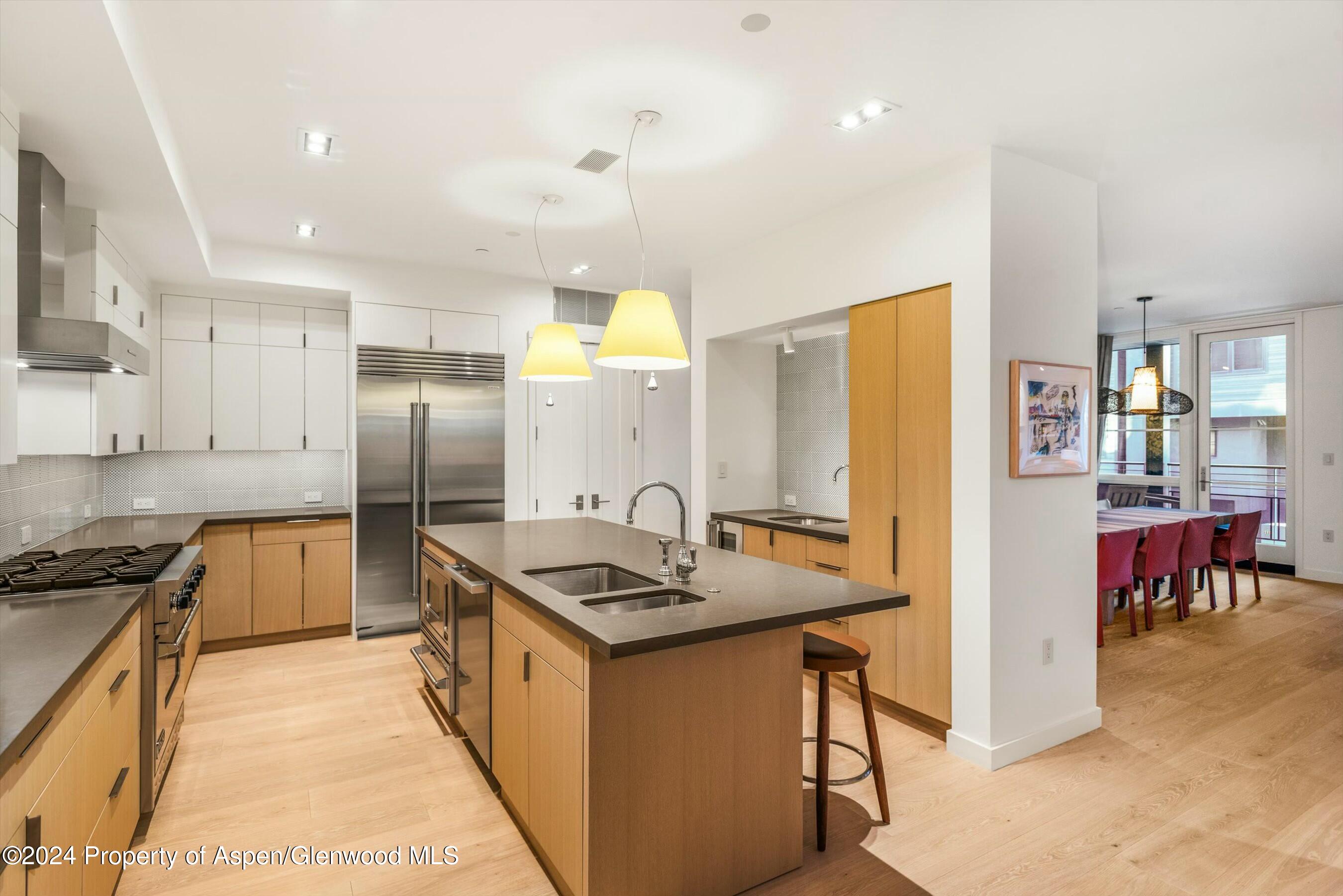 233 E Cooper Avenue Aspen CO 81611