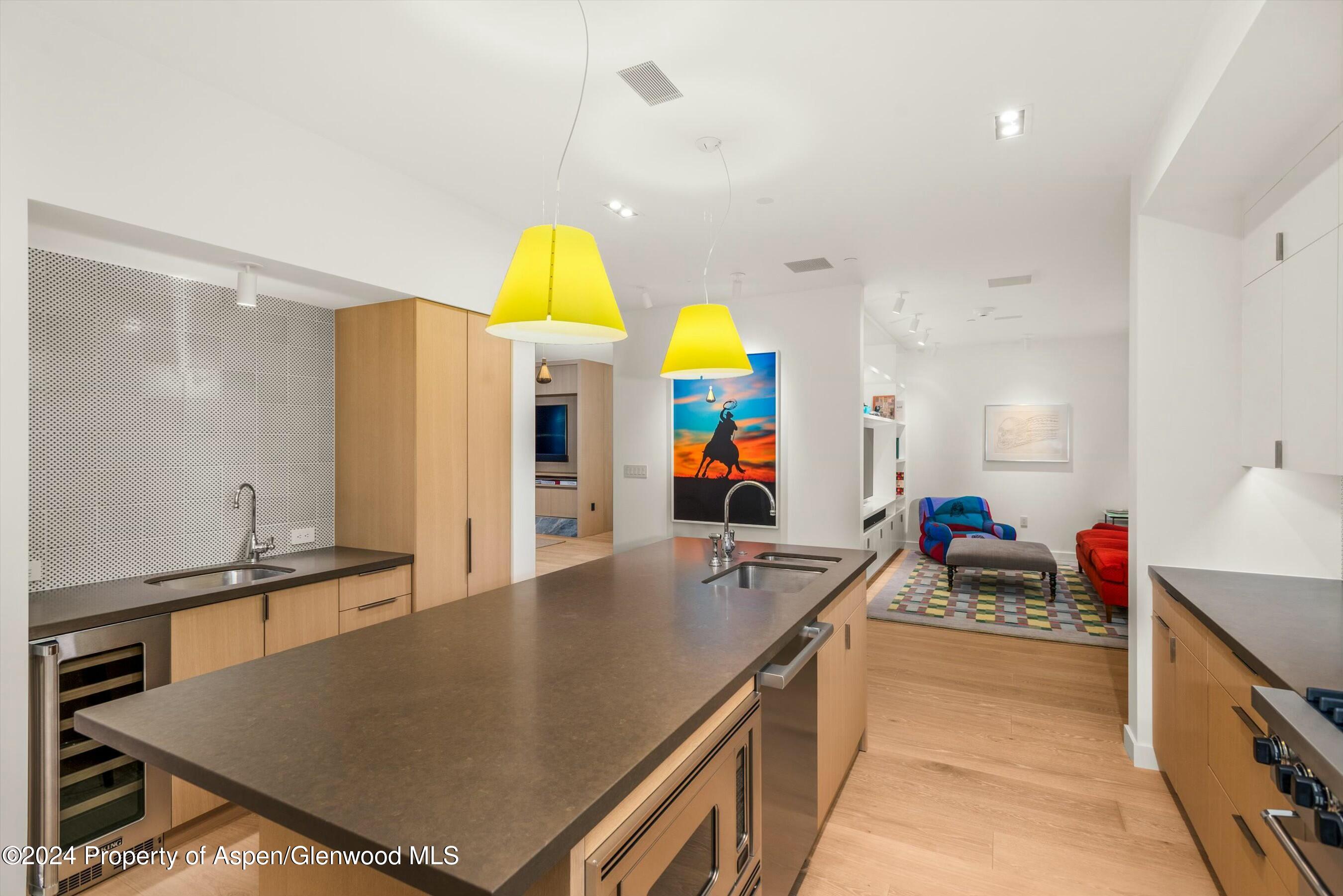 233 E Cooper Avenue Aspen CO 81611