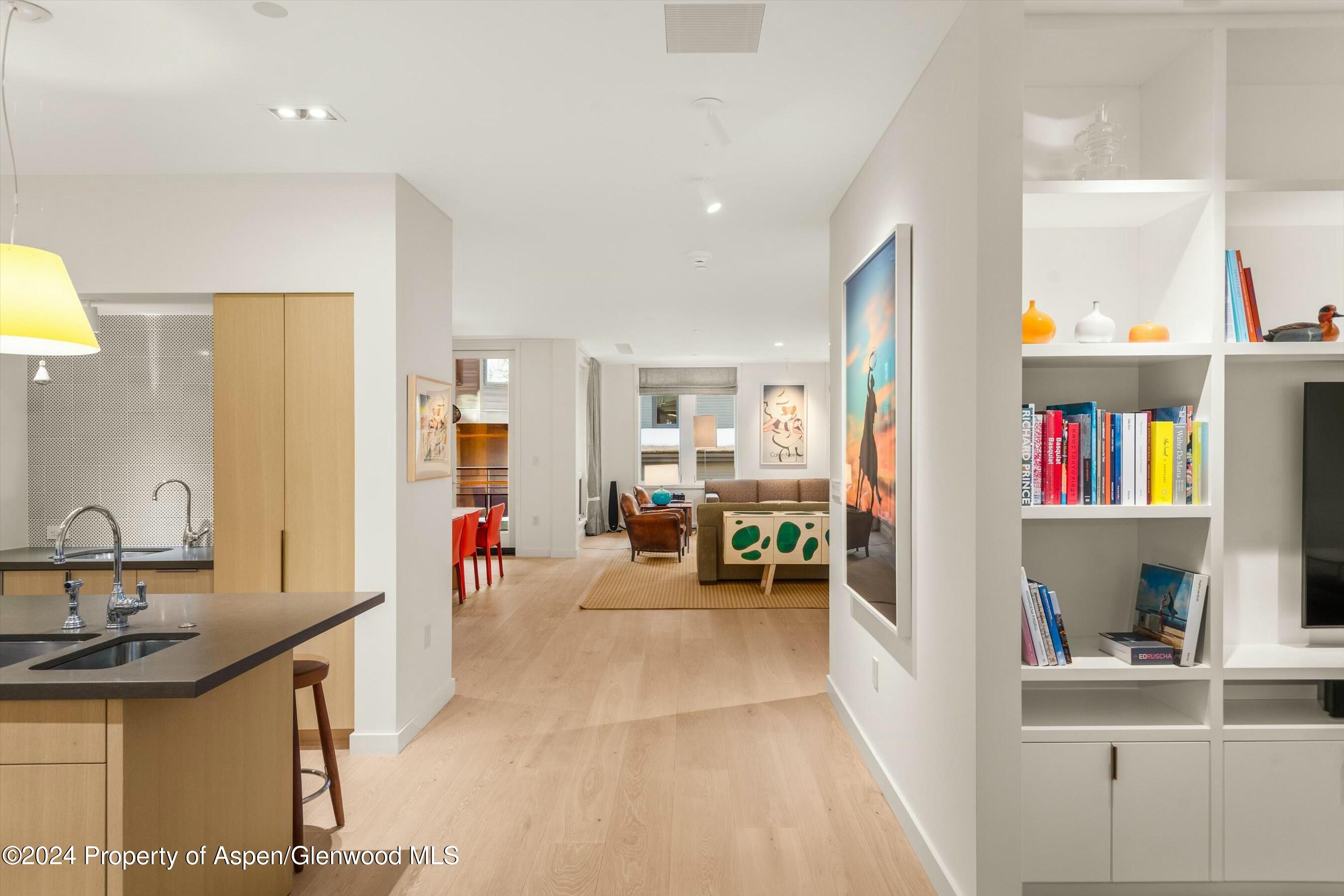 233 E Cooper Avenue Aspen CO 81611