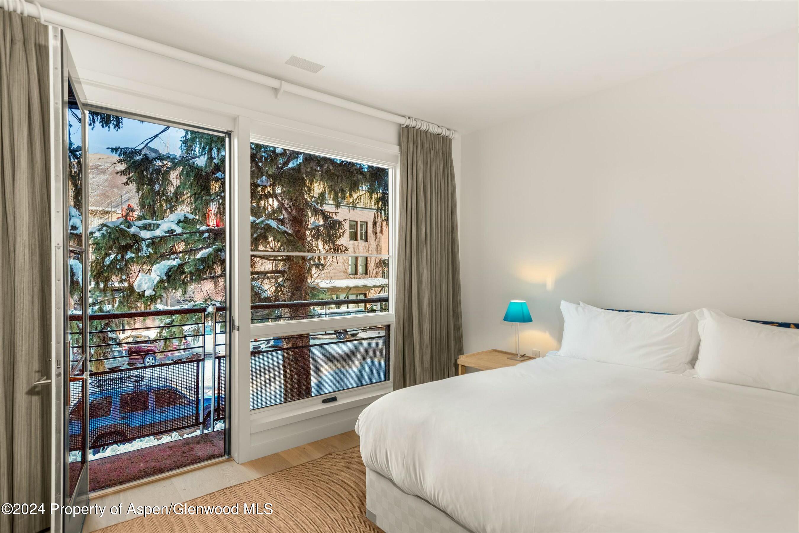 233 E Cooper Avenue Aspen CO 81611