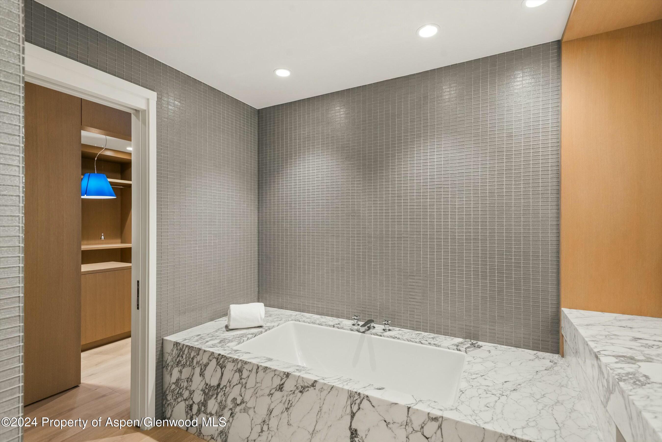 233 E Cooper Avenue Aspen CO 81611