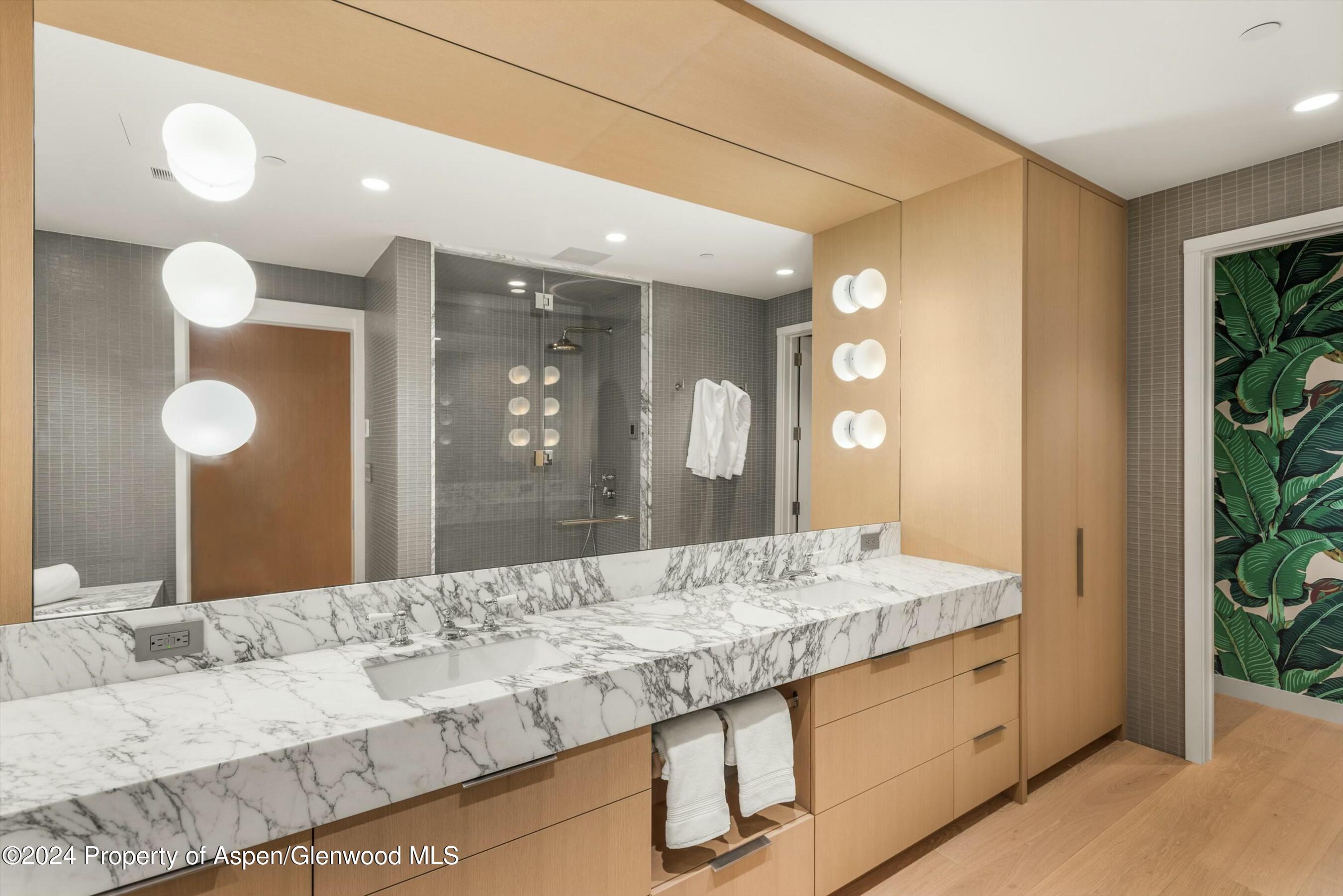 233 E Cooper Avenue Aspen CO 81611