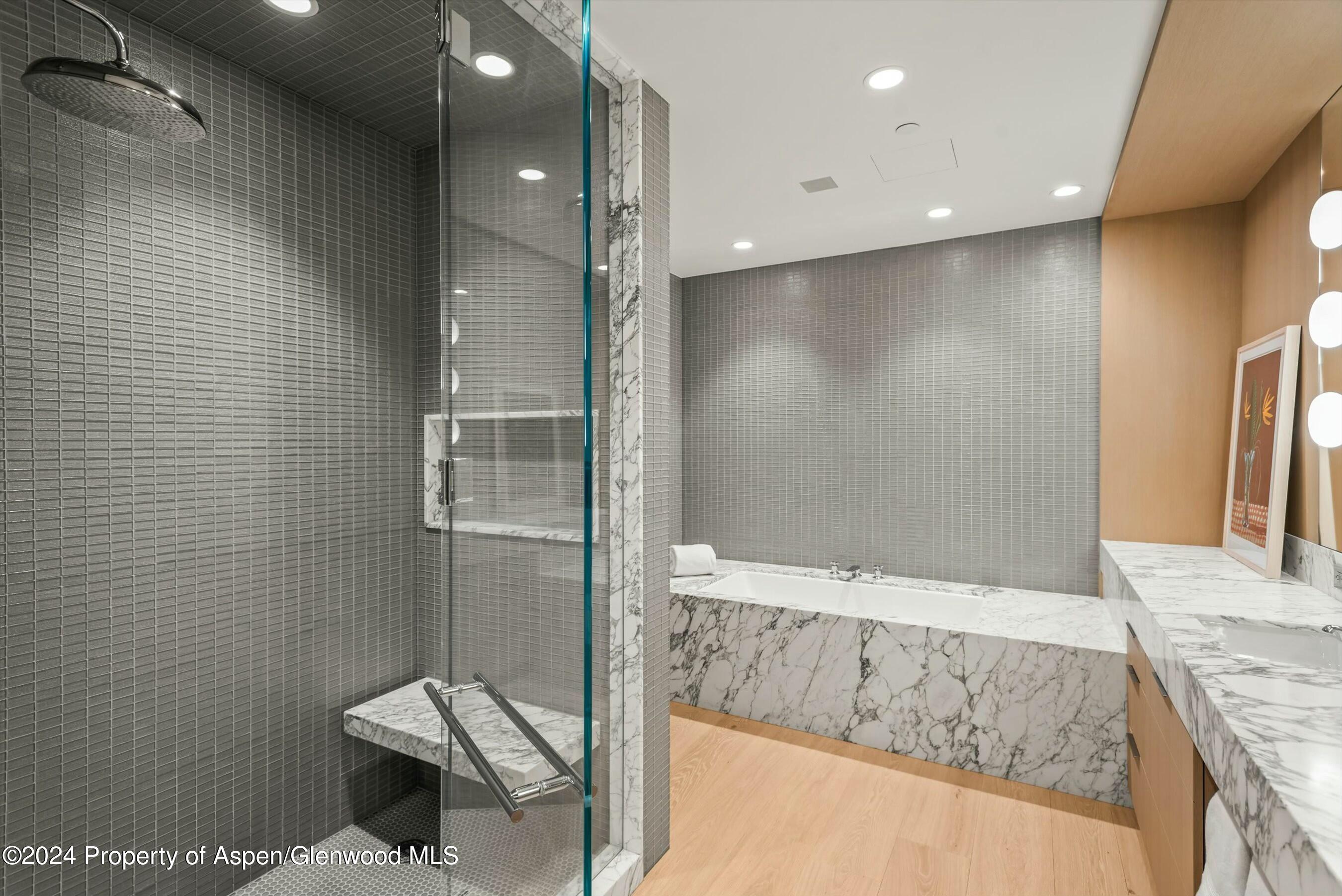 233 E Cooper Avenue Aspen CO 81611