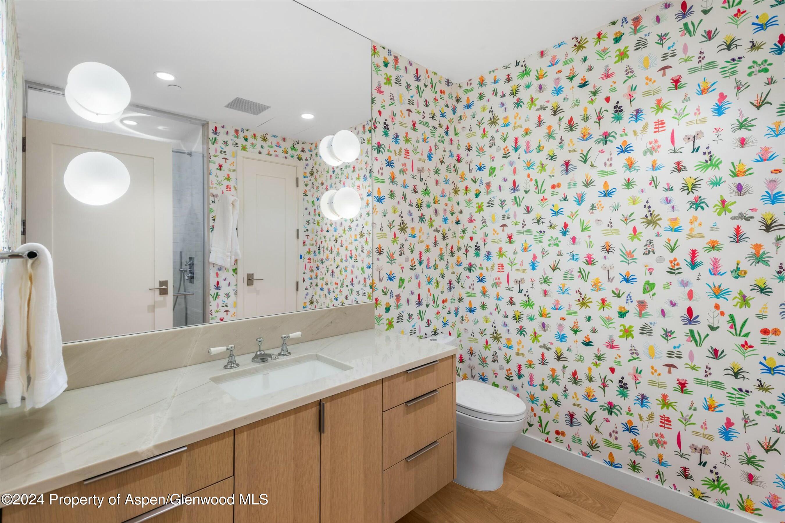 233 E Cooper Avenue Aspen CO 81611