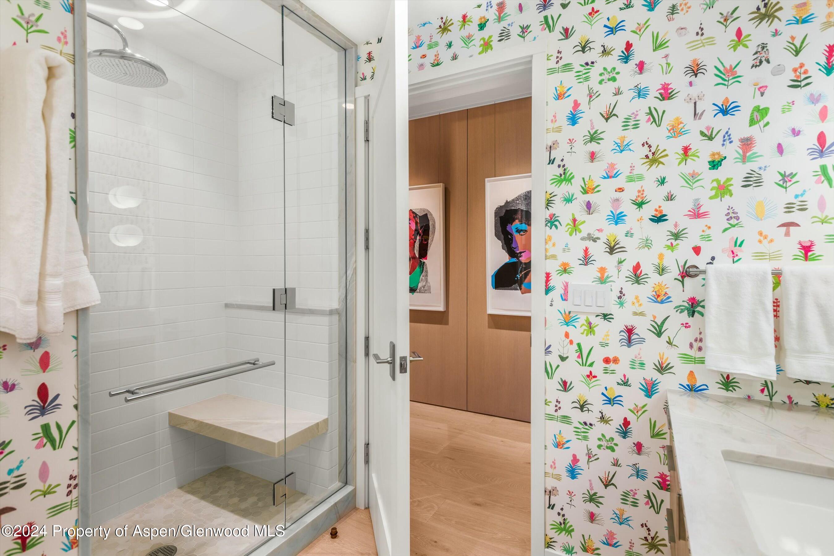 233 E Cooper Avenue Aspen CO 81611