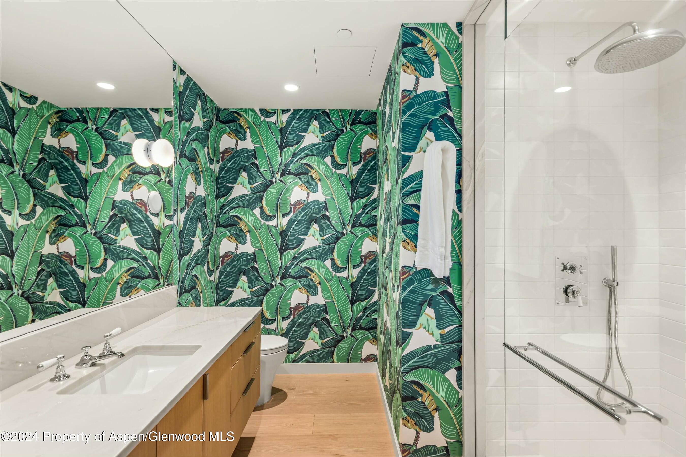 233 E Cooper Avenue Aspen CO 81611