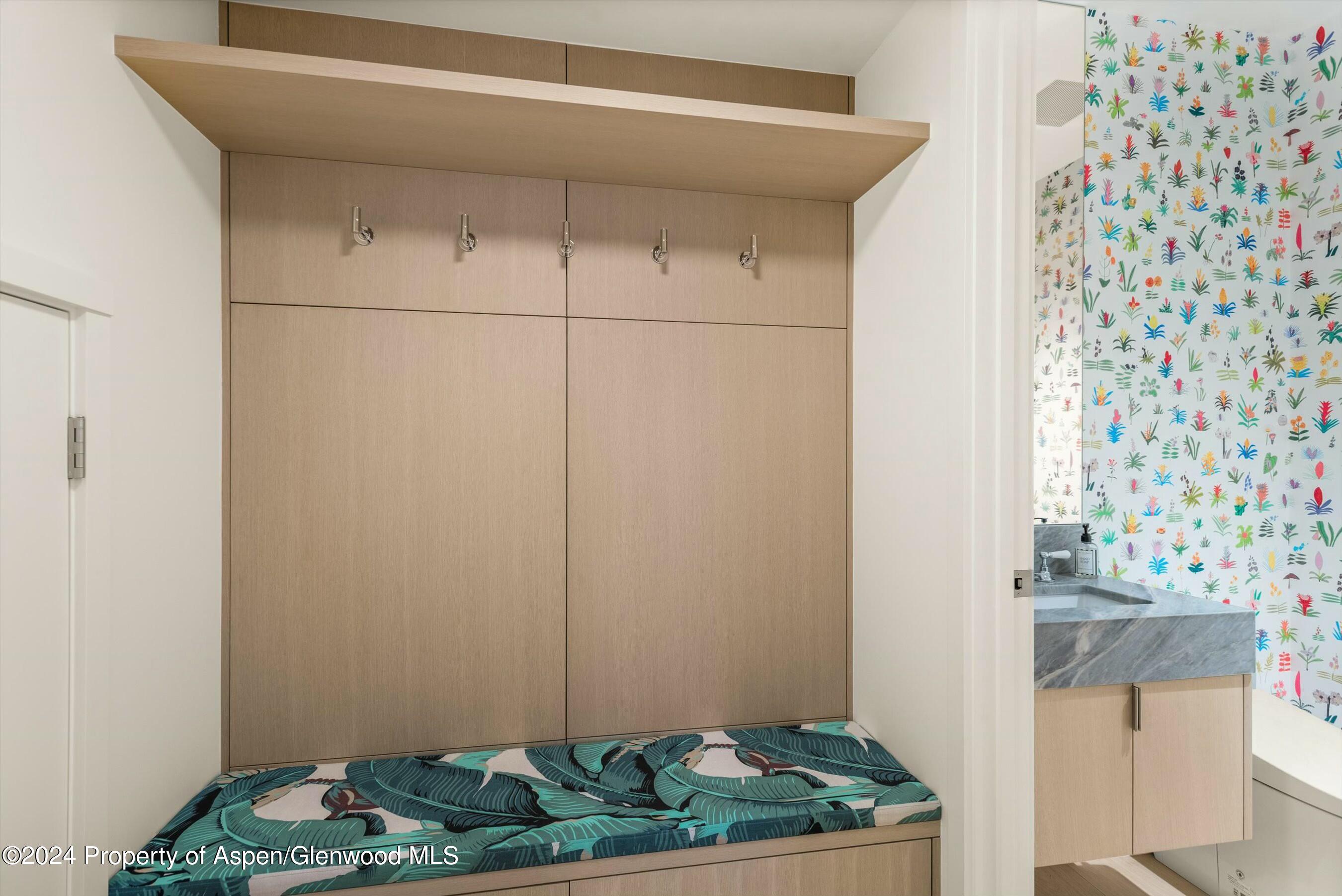 233 E Cooper Avenue Aspen CO 81611