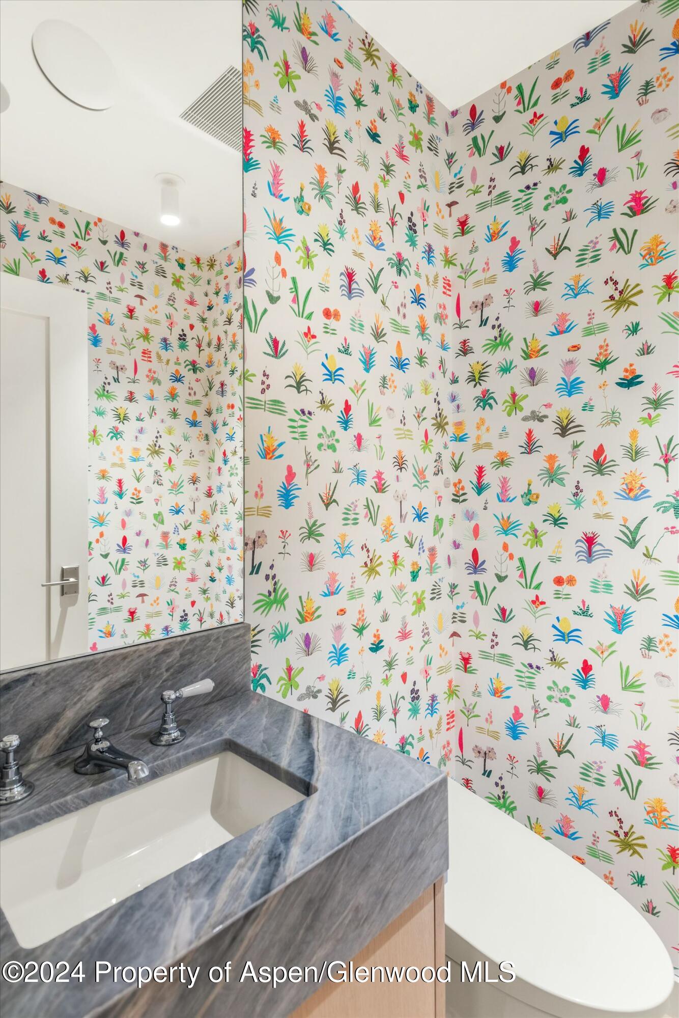 233 E Cooper Avenue Aspen CO 81611