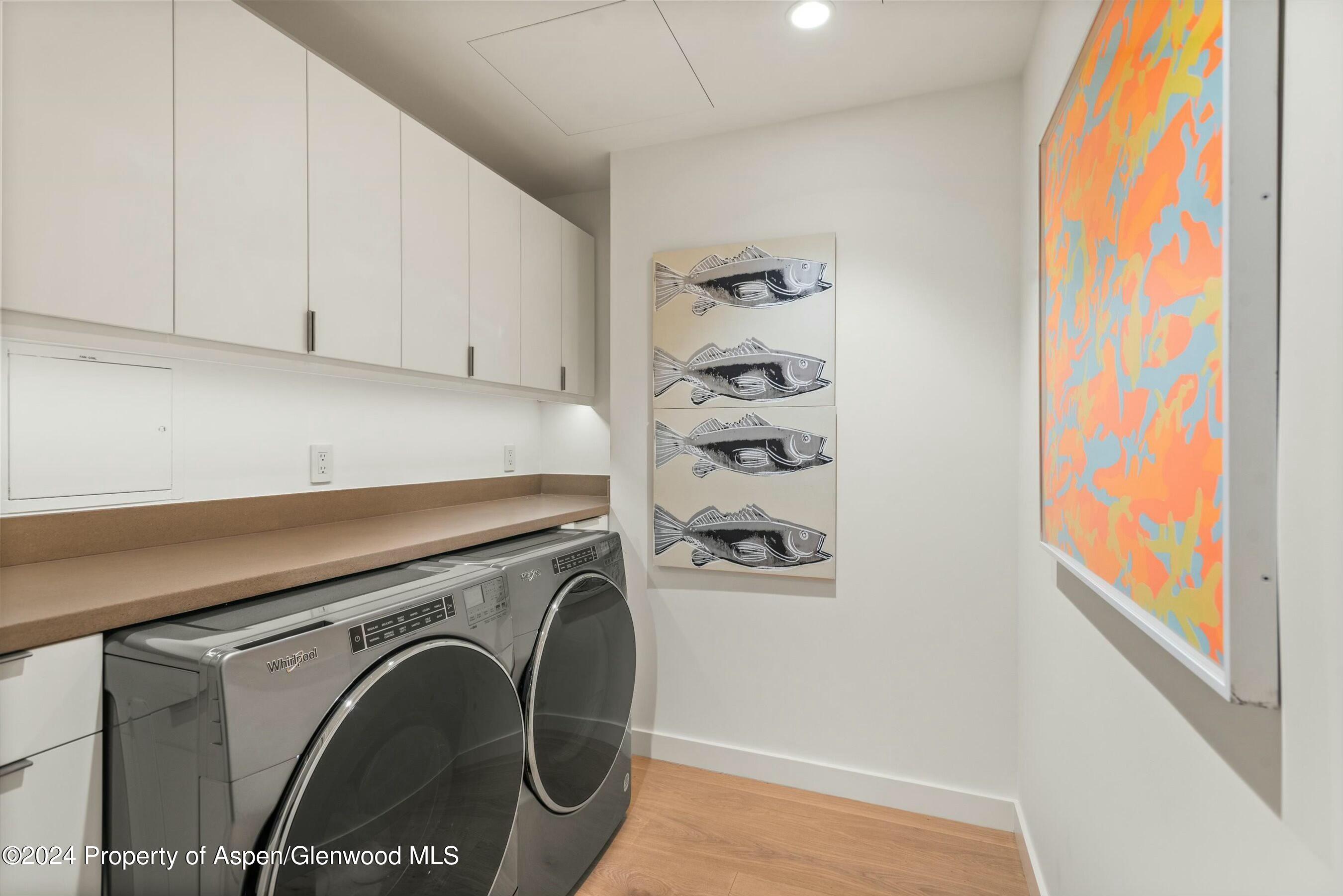 233 E Cooper Avenue Aspen CO 81611