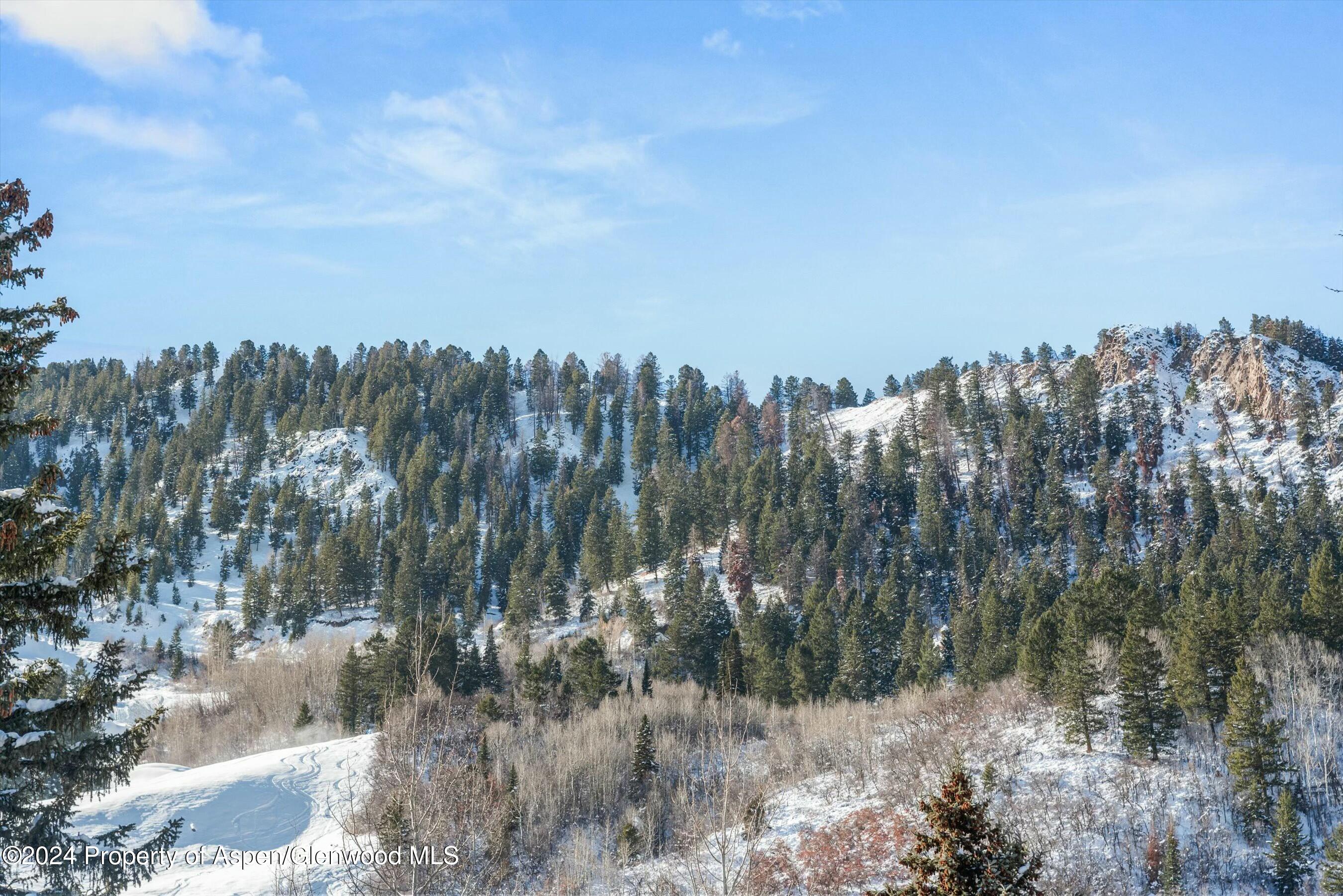 233 E Cooper Avenue Aspen CO 81611