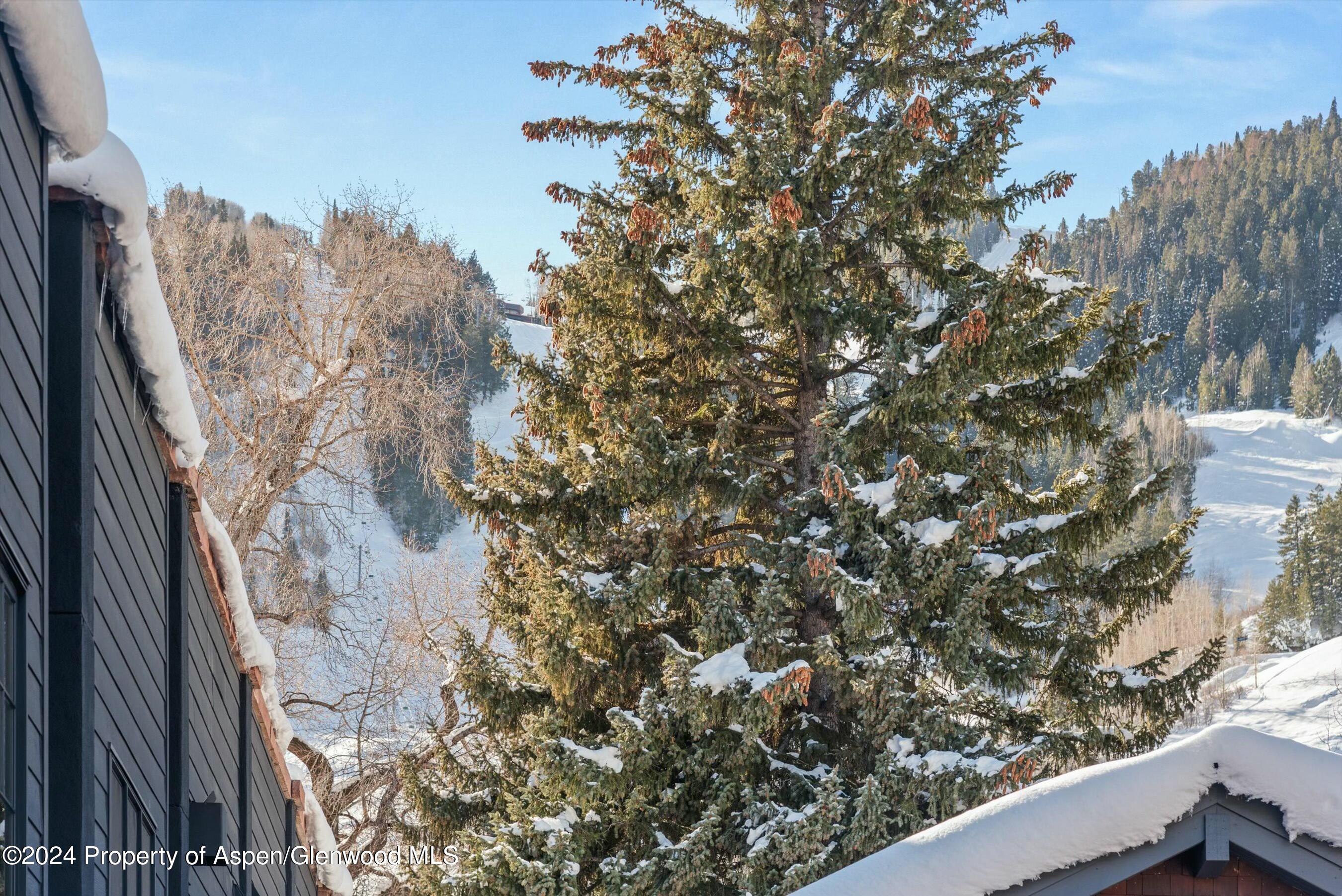 233 E Cooper Avenue Aspen CO 81611