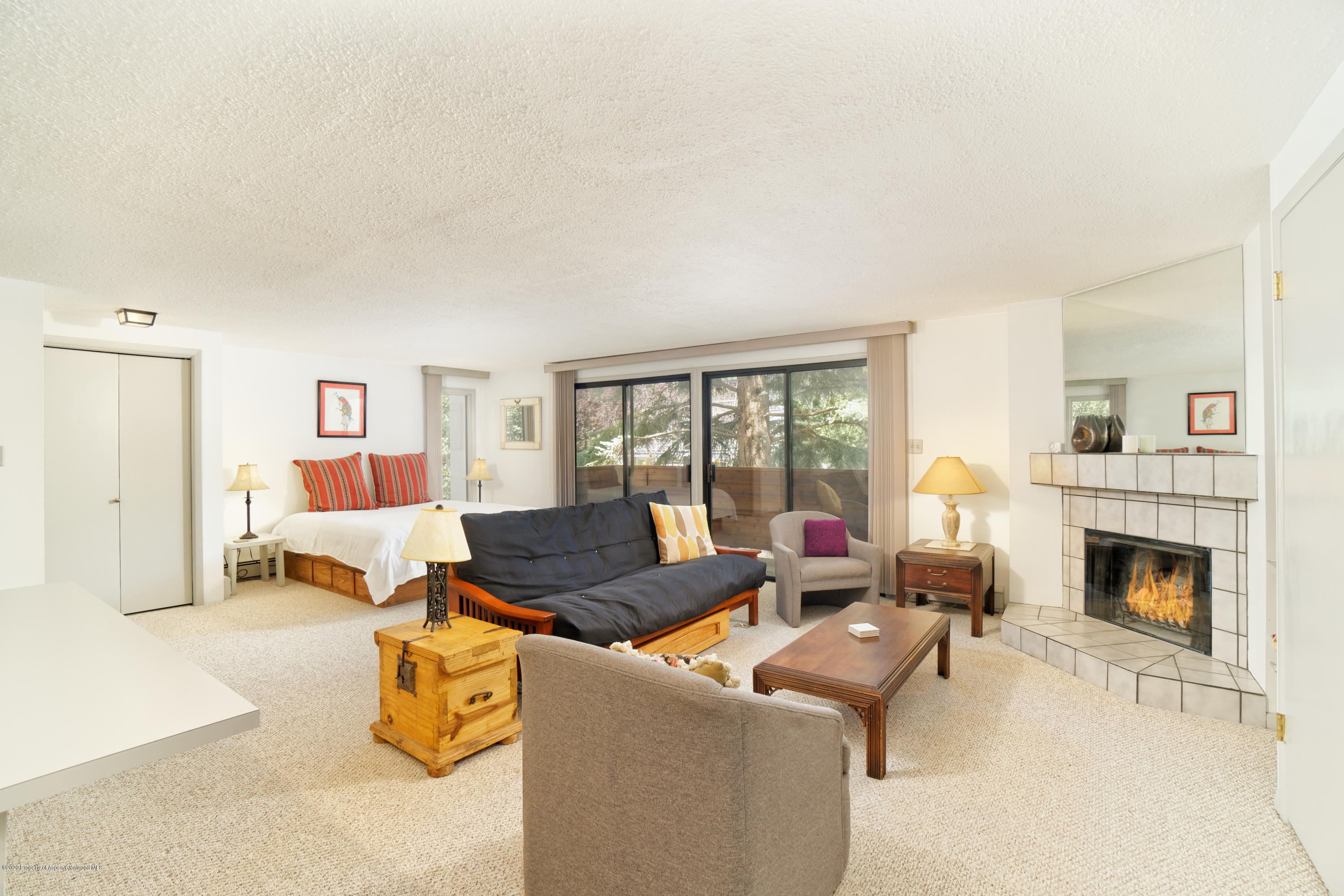 935 E Hopkins Avenue Aspen CO 81611