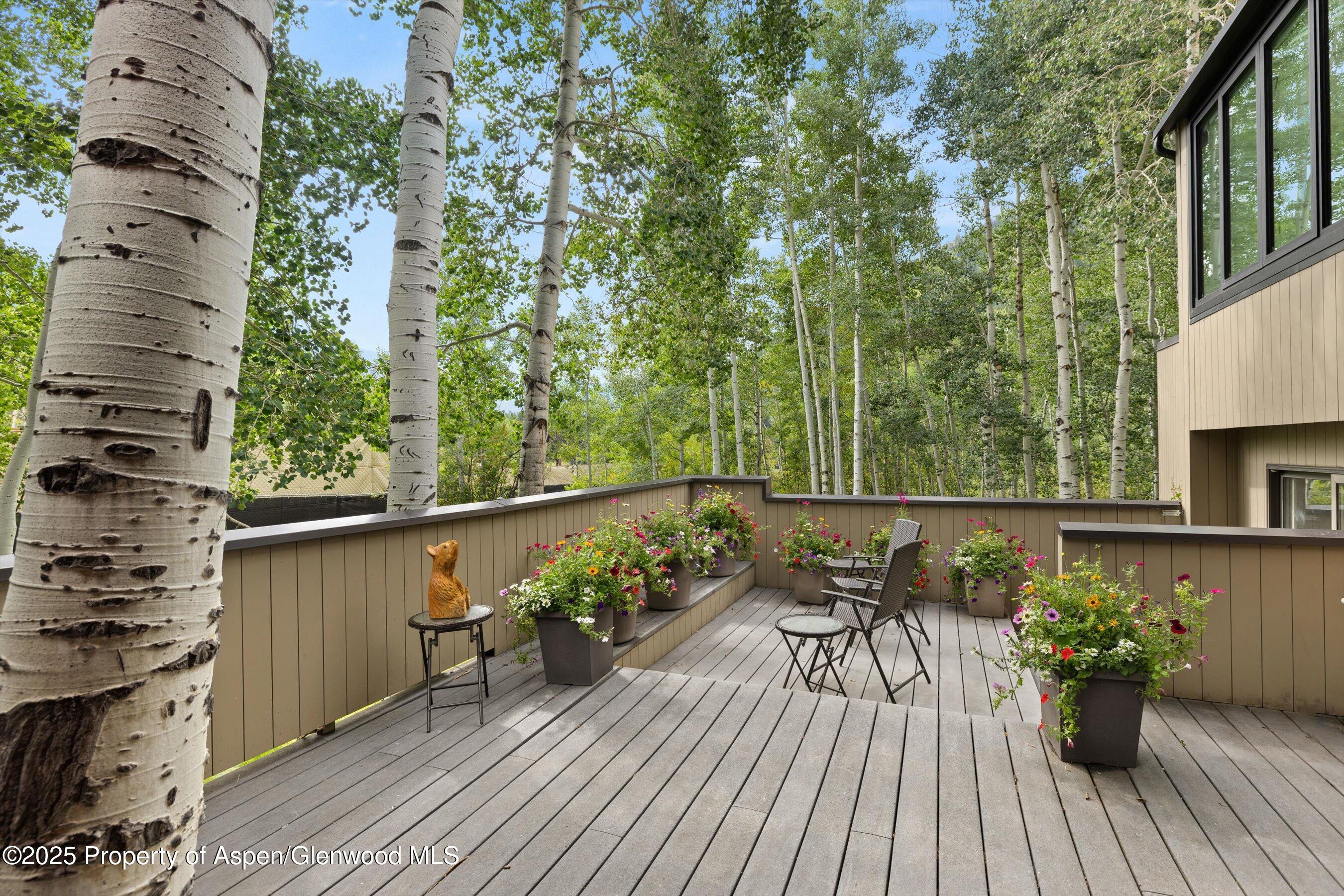 1443 Crystal Lake Road Aspen CO 81611