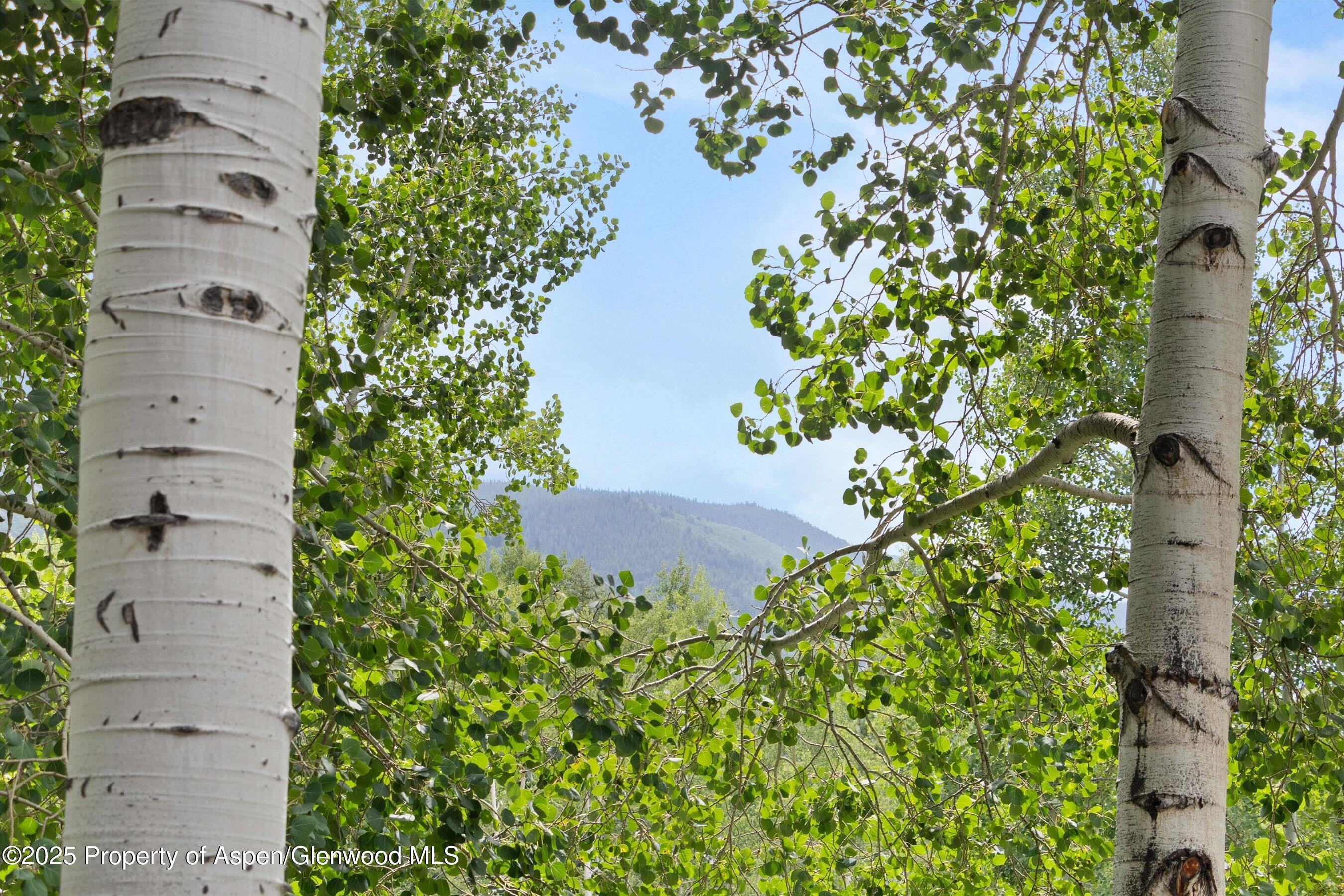 1443 Crystal Lake Road Aspen CO 81611