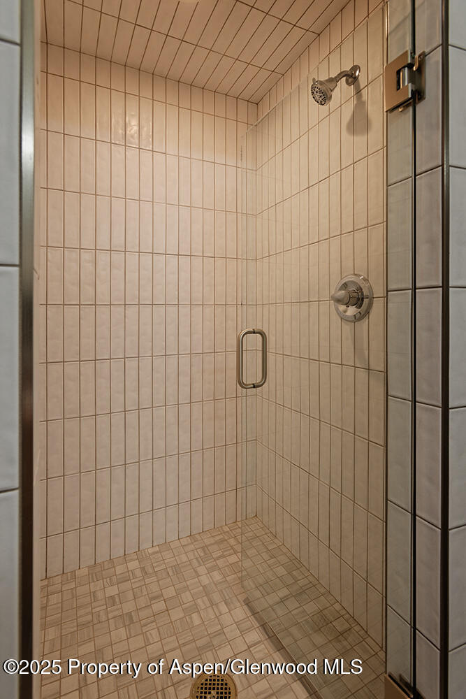 311 Midland Avenue Aspen CO 81611