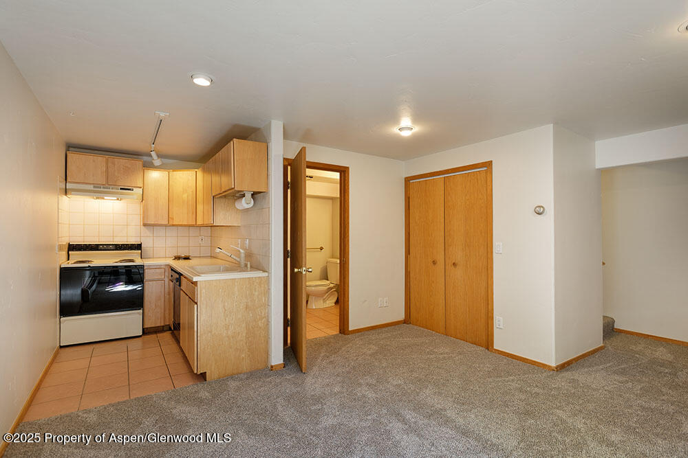 311 Midland Avenue Aspen CO 81611