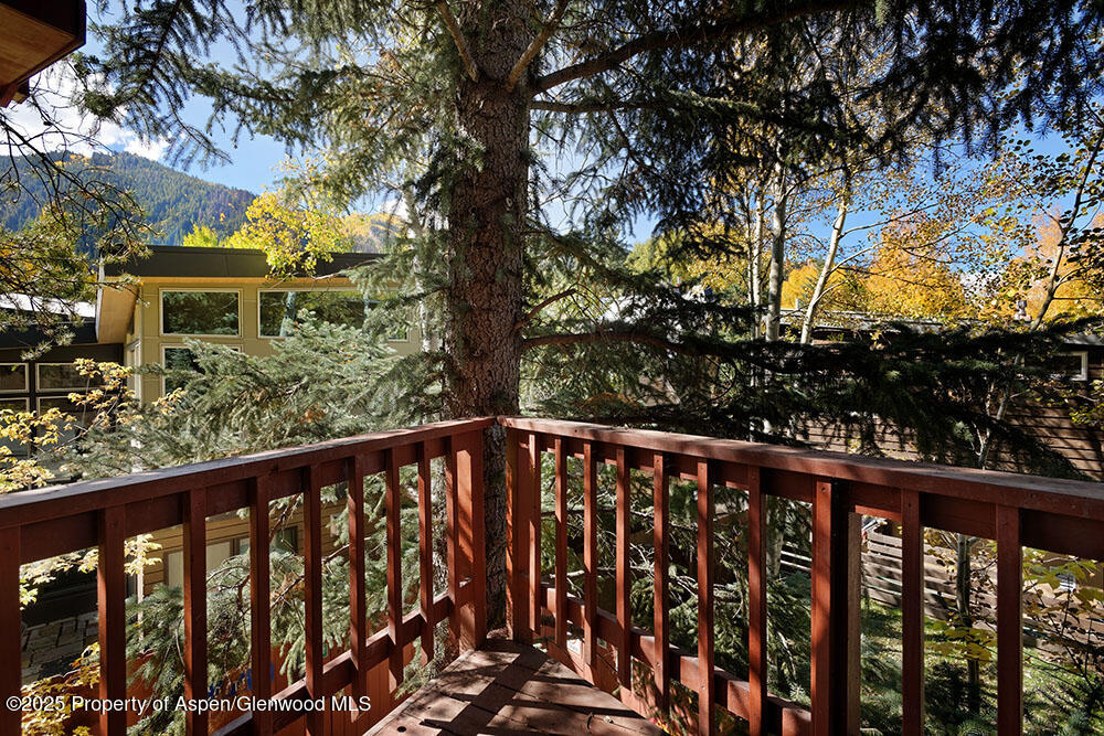 311 Midland Avenue Aspen CO 81611