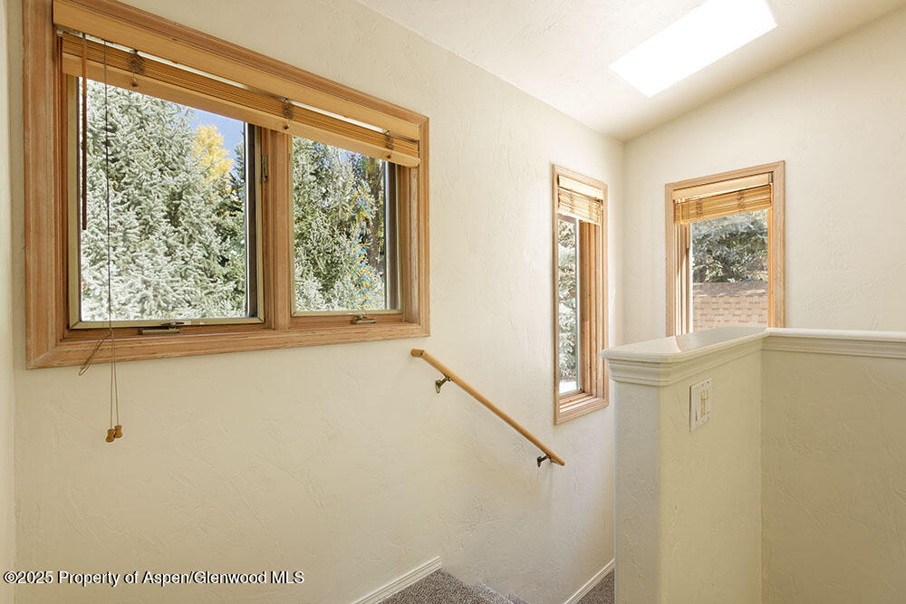 311 Midland Avenue Aspen CO 81611