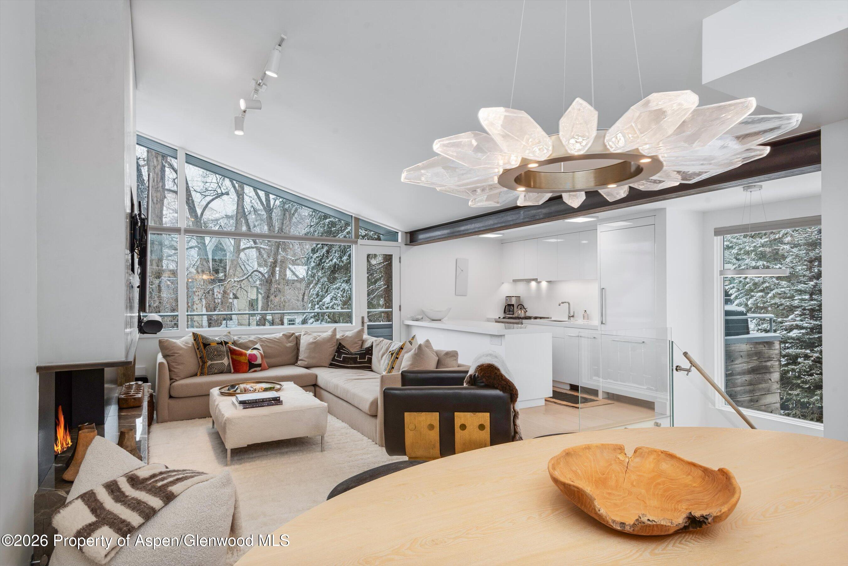 1001 E Cooper Avenue Aspen CO 81611