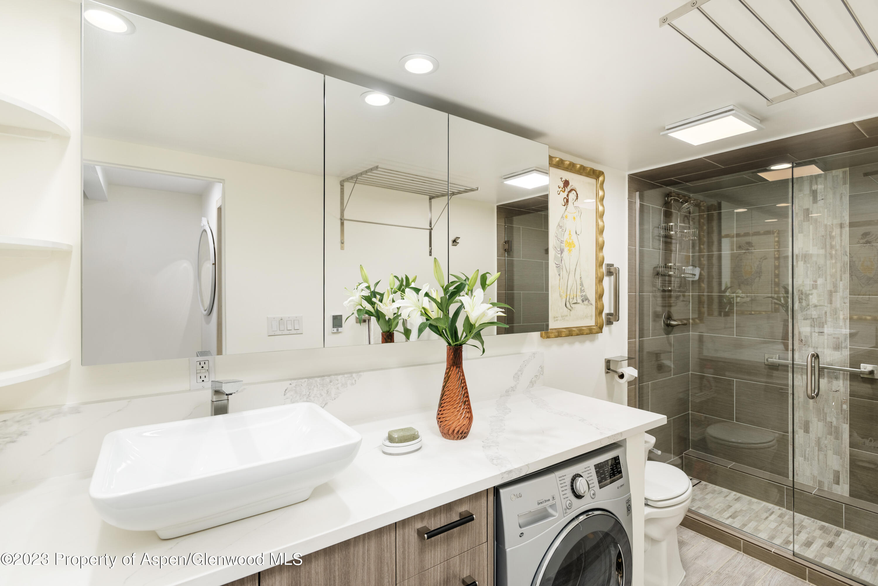 601 S West End Street Aspen CO 81611