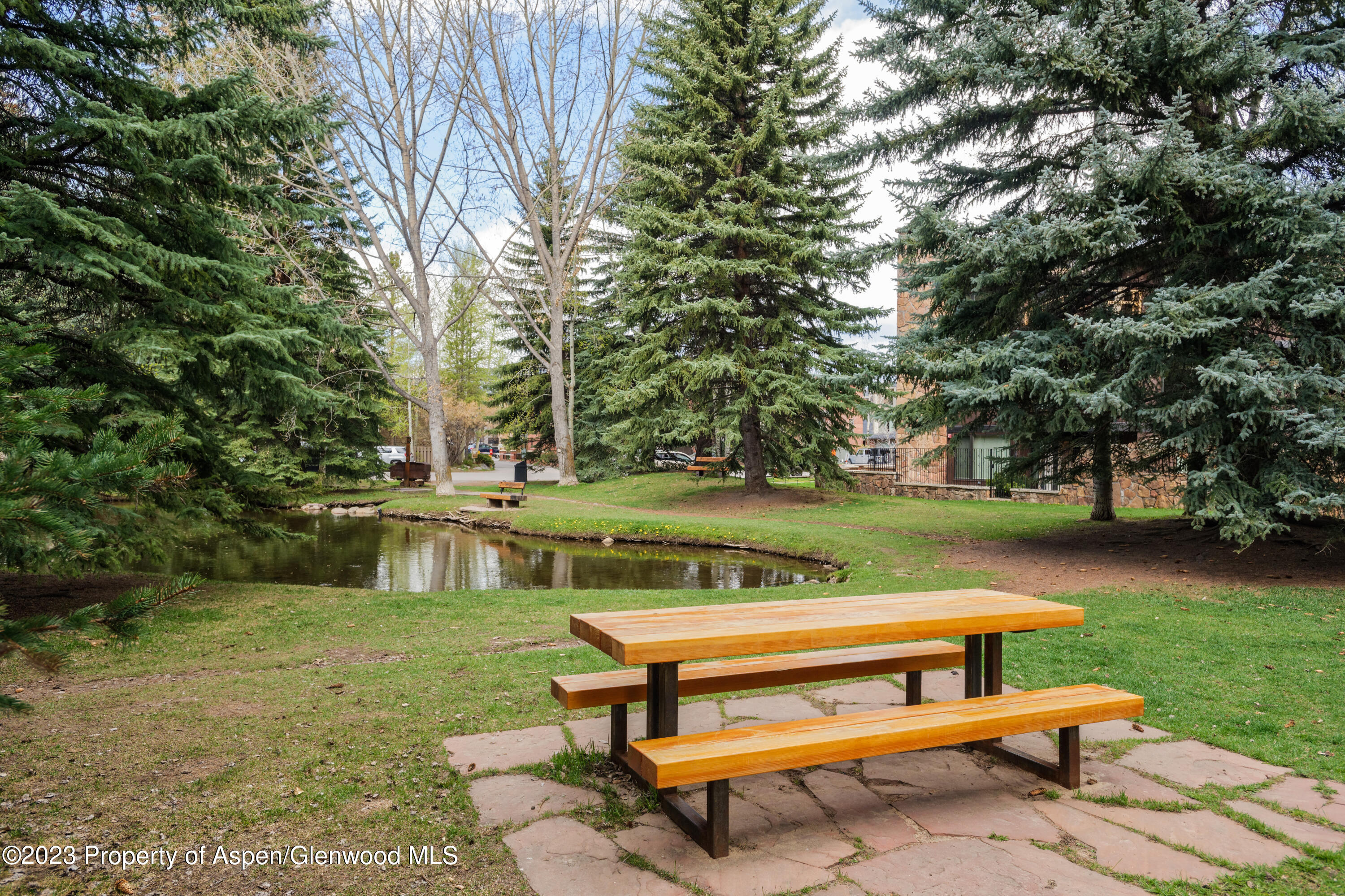 601 S West End Street Aspen CO 81611