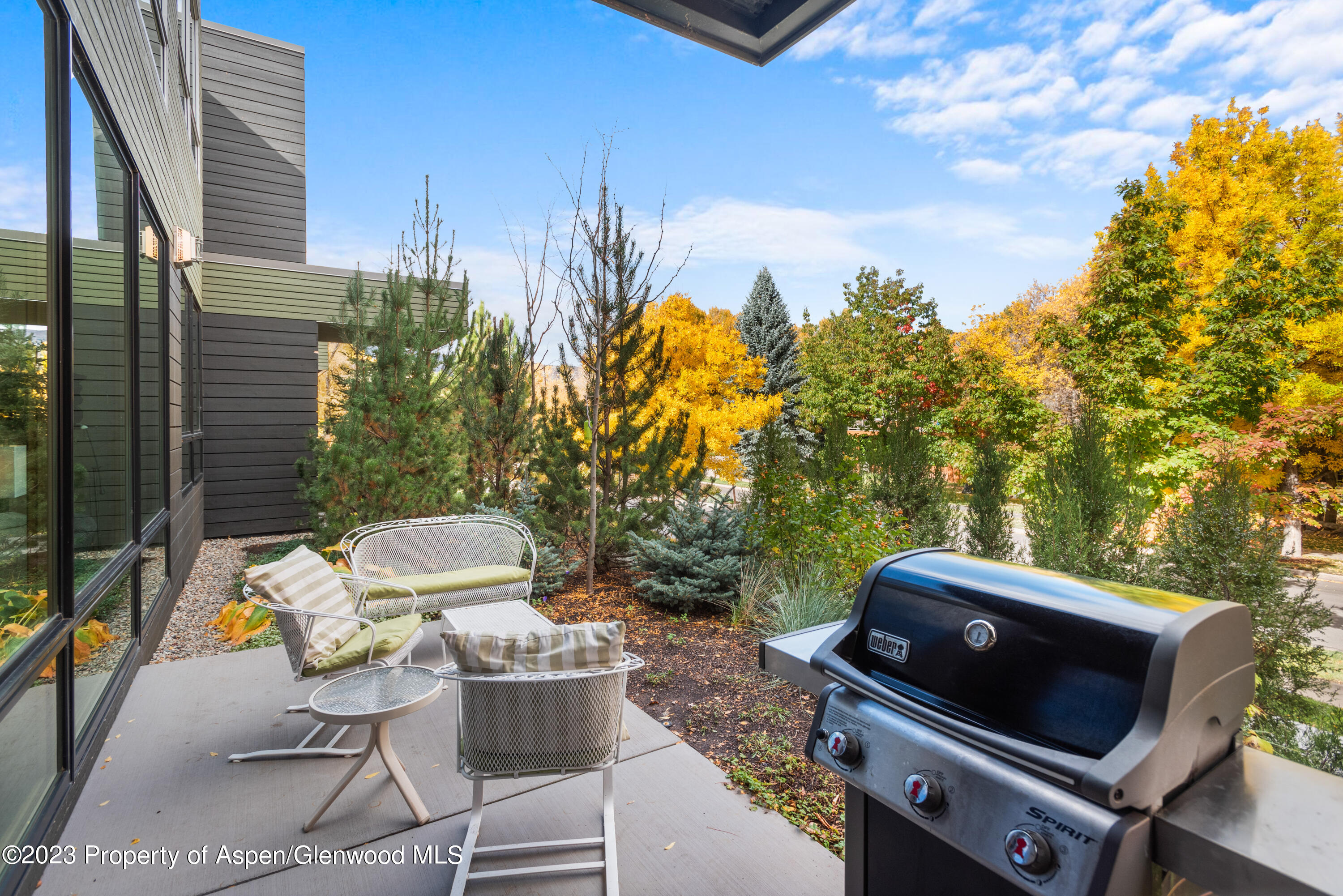 100 Evans Road Basalt CO 81621