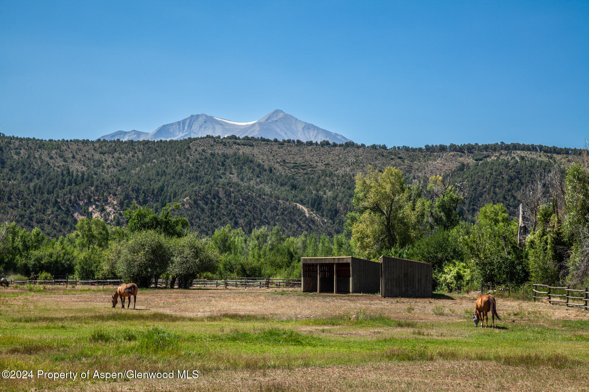 14913 Highway 82 Carbondale CO 81623