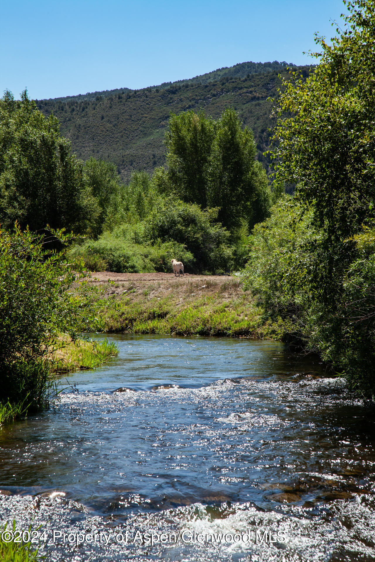 14913 Highway 82 Carbondale CO 81623