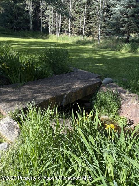 135 Lewis Lane Basalt CO 81621