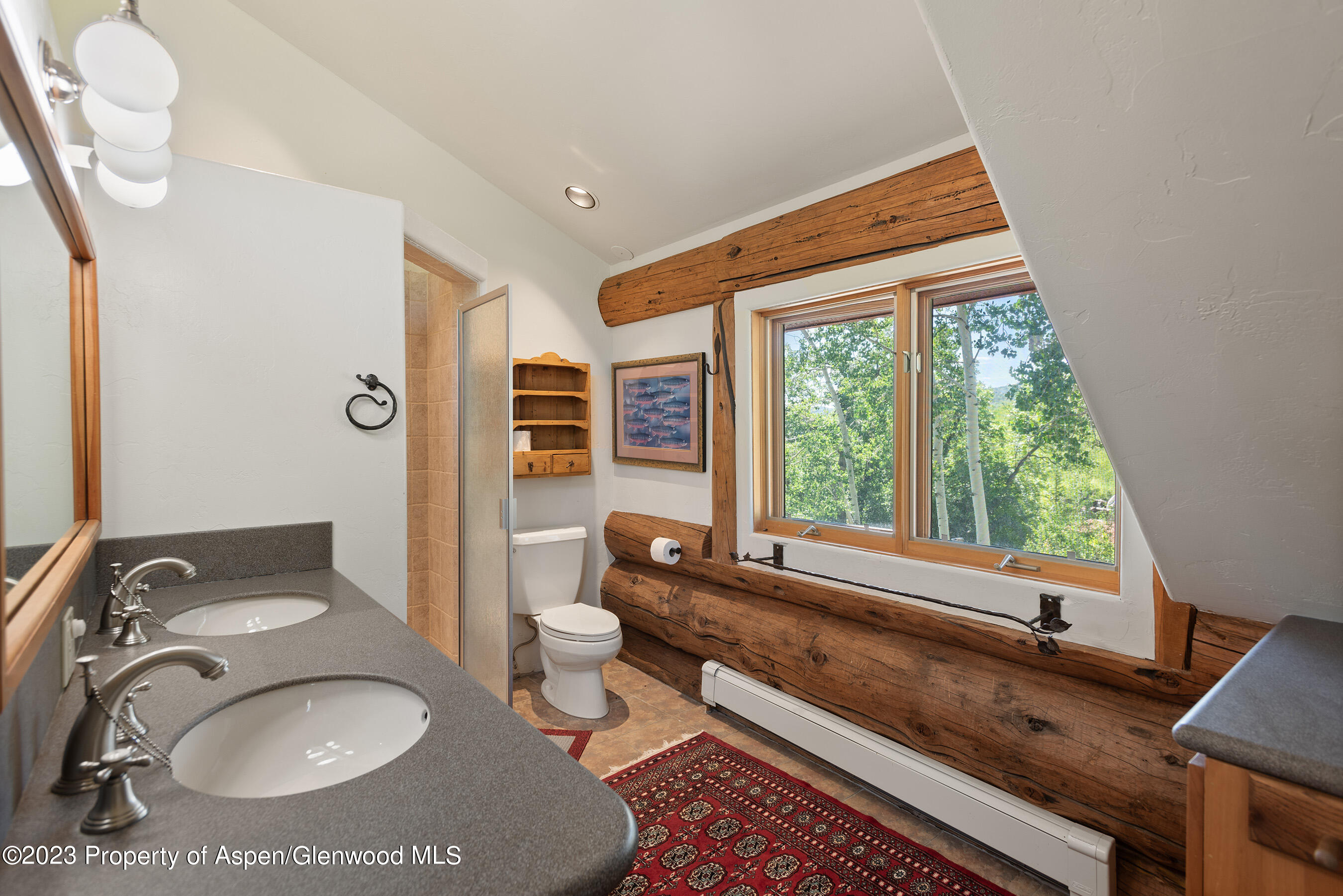 4275 Sopris Mountain Ranch Road Basalt CO 81621