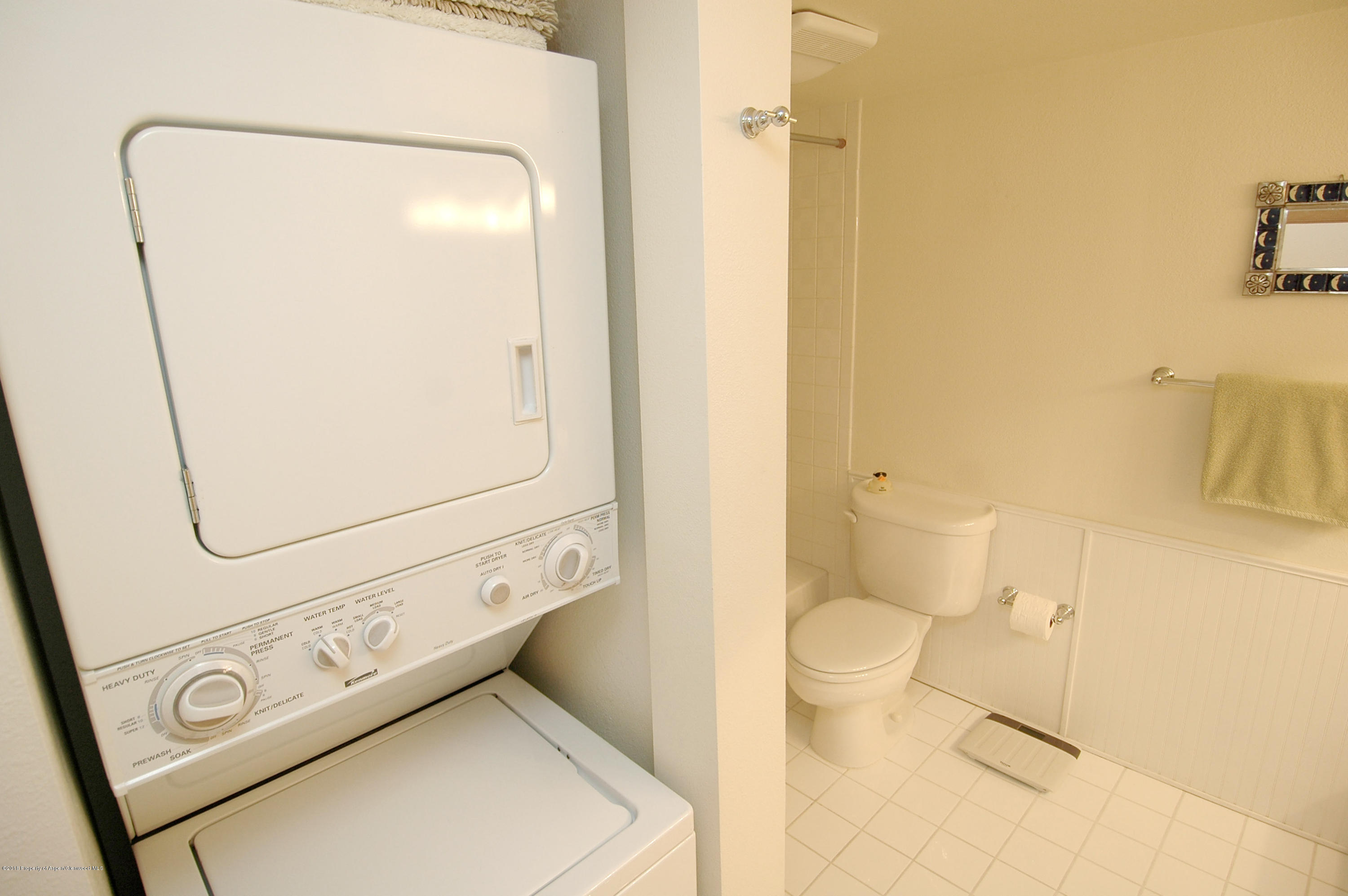 311 S Aspen Street Aspen CO 81611