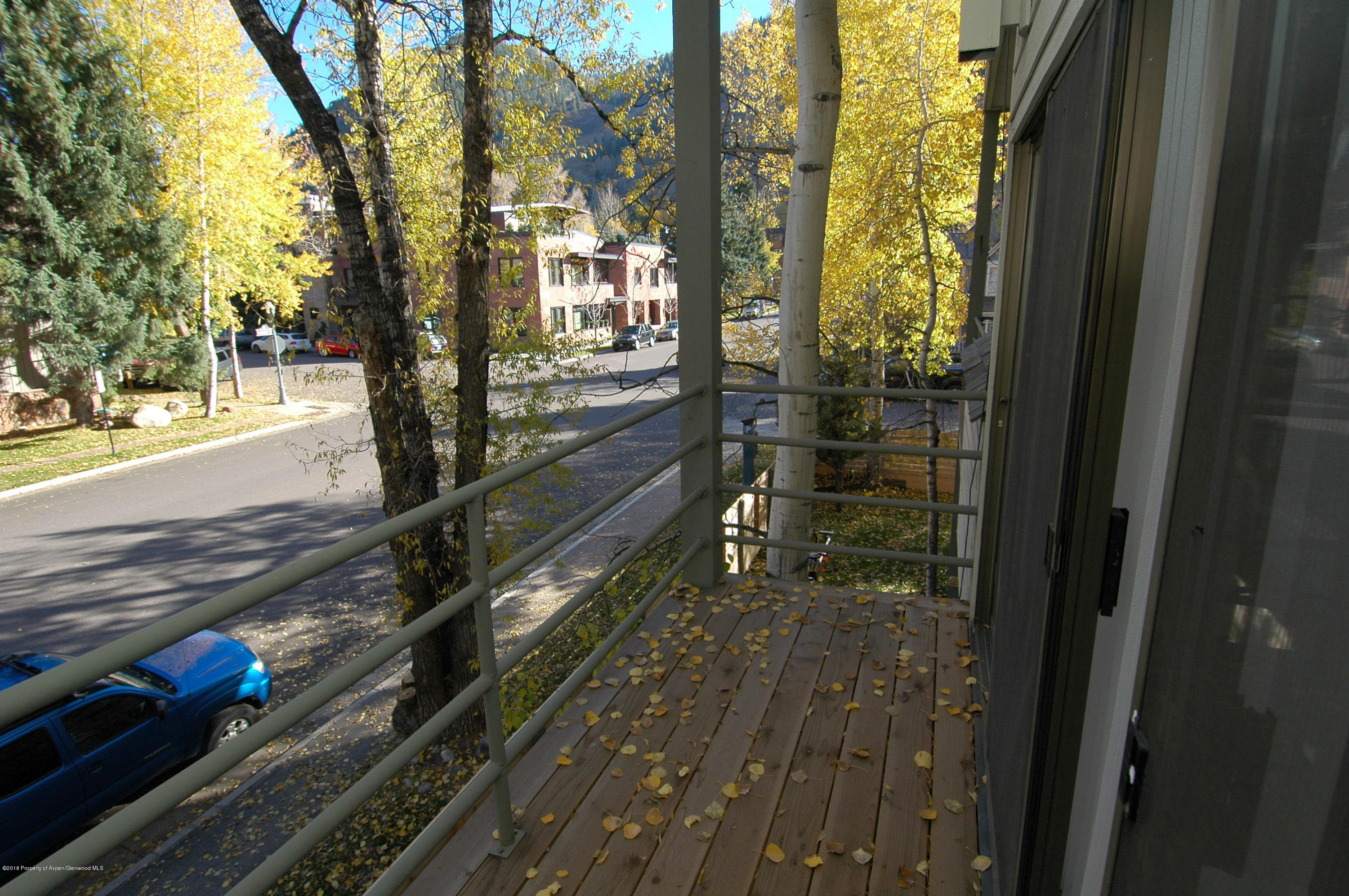 311 S Aspen Street Aspen CO 81611