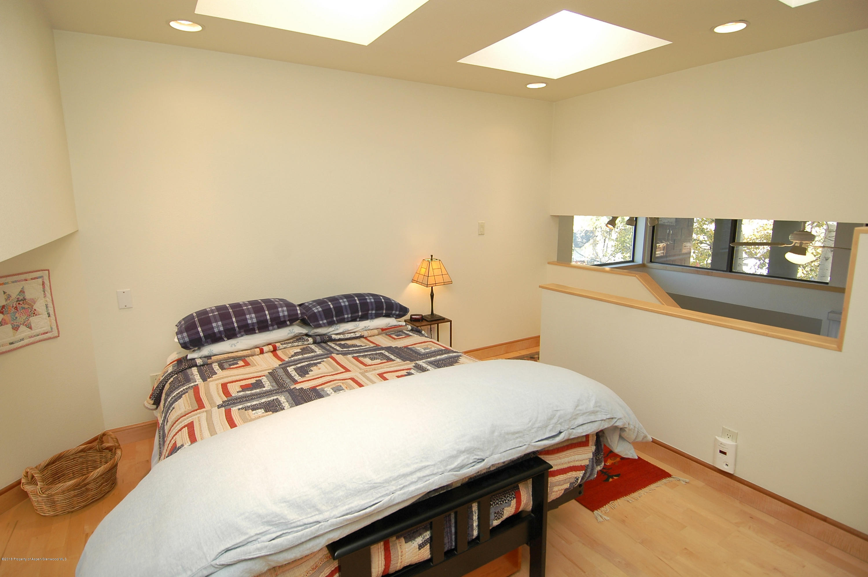 311 S Aspen Street Aspen CO 81611